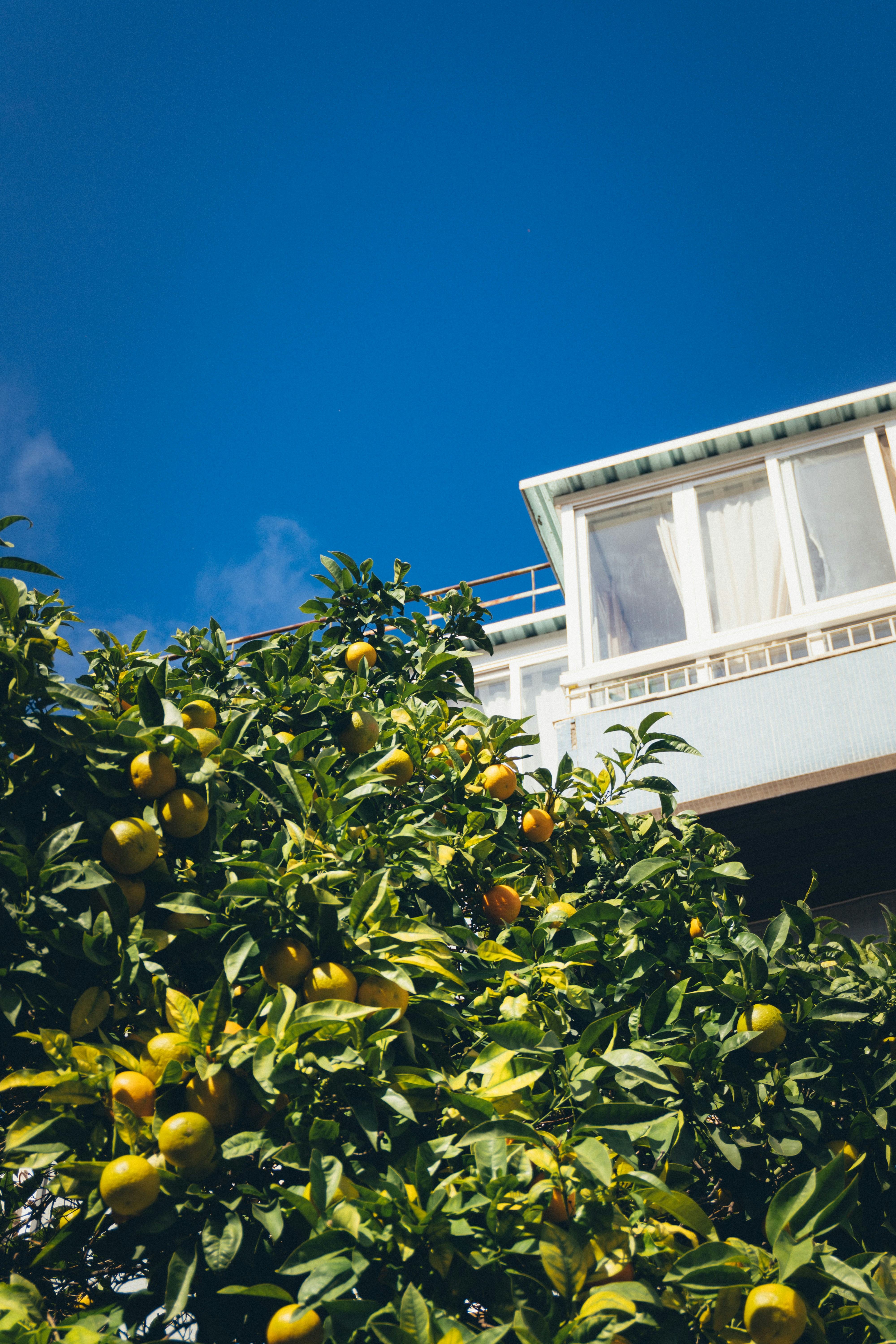 Photo by taraschuiko