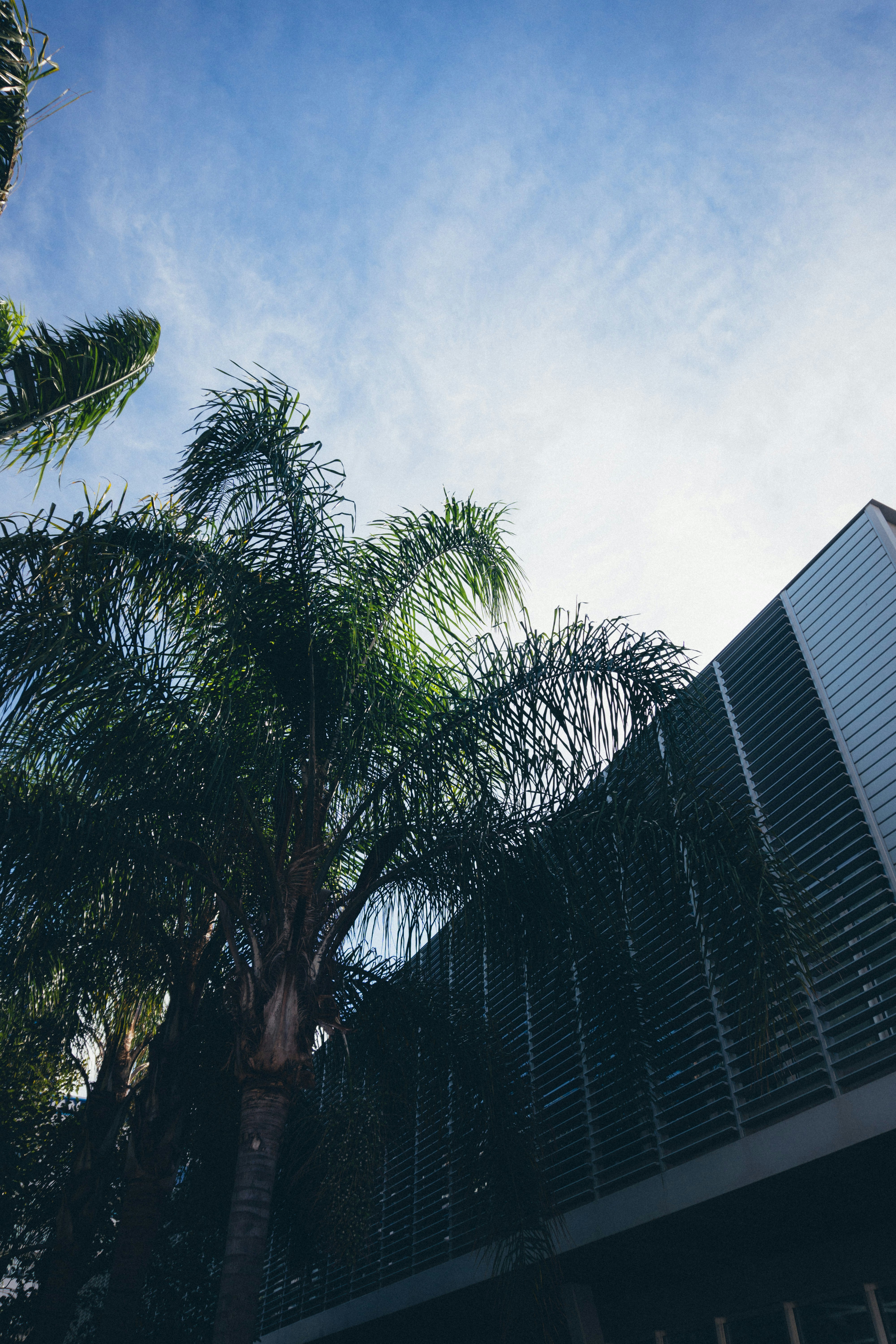 Photo by taraschuiko