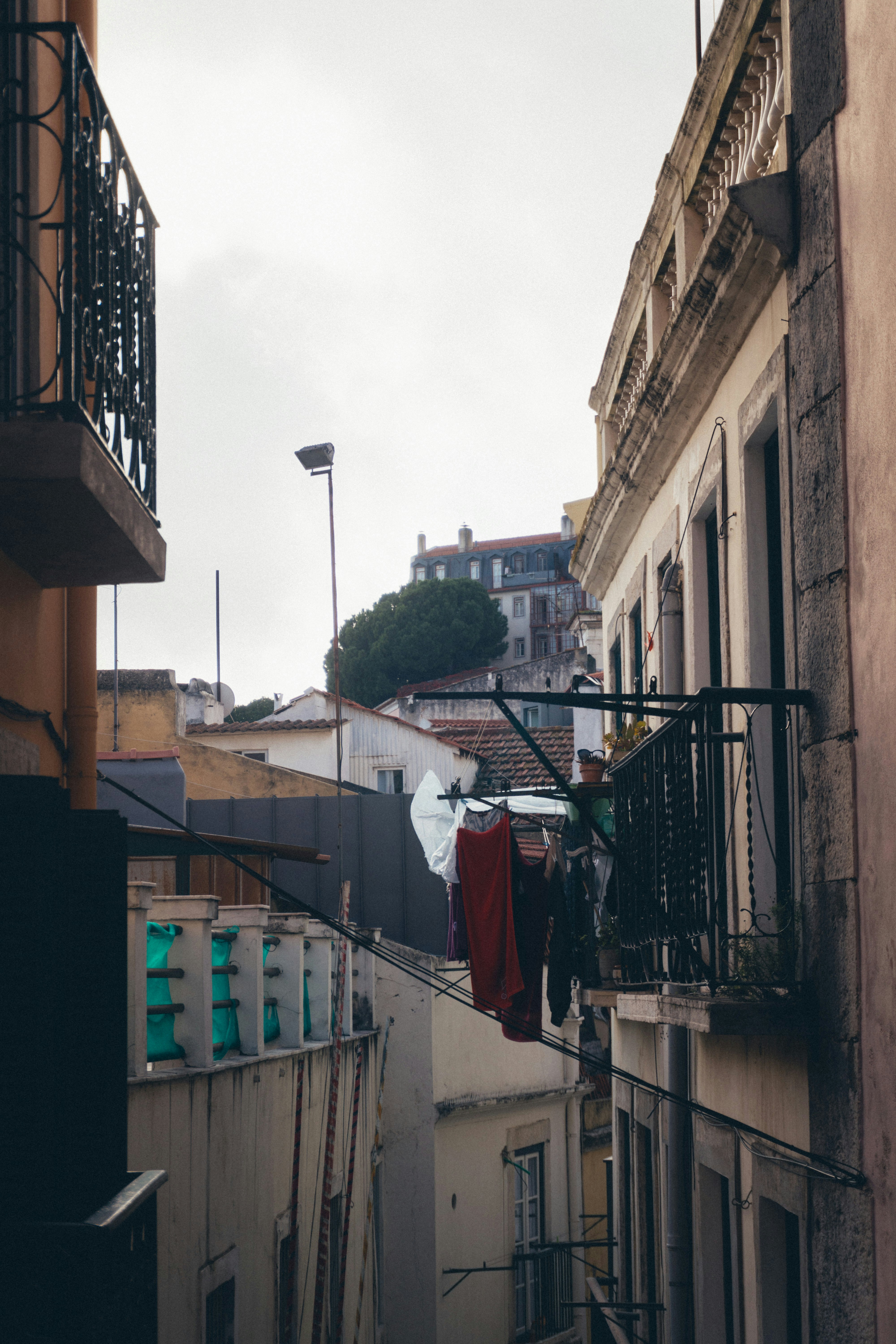 Photo by taraschuiko