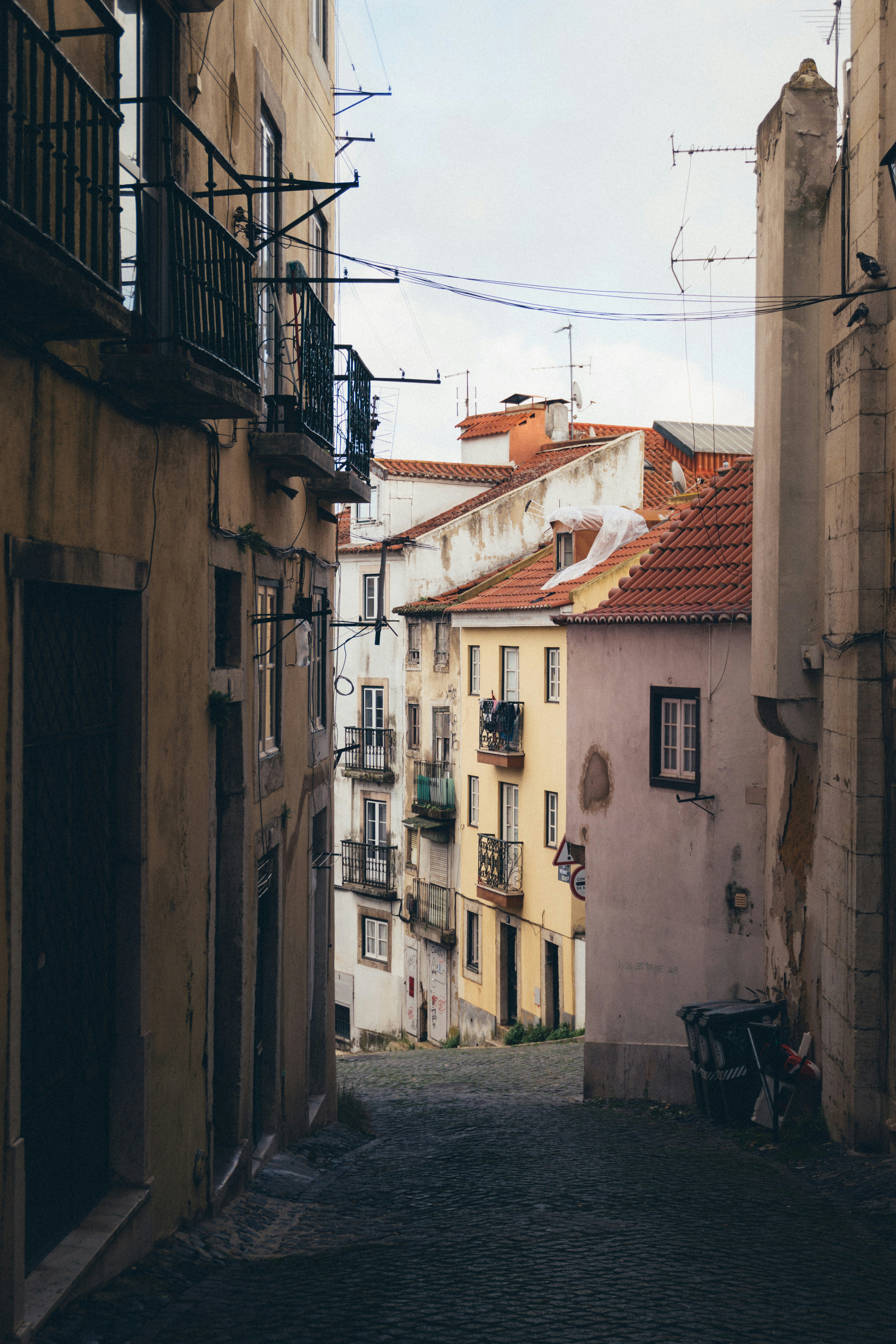 Photo by taraschuiko