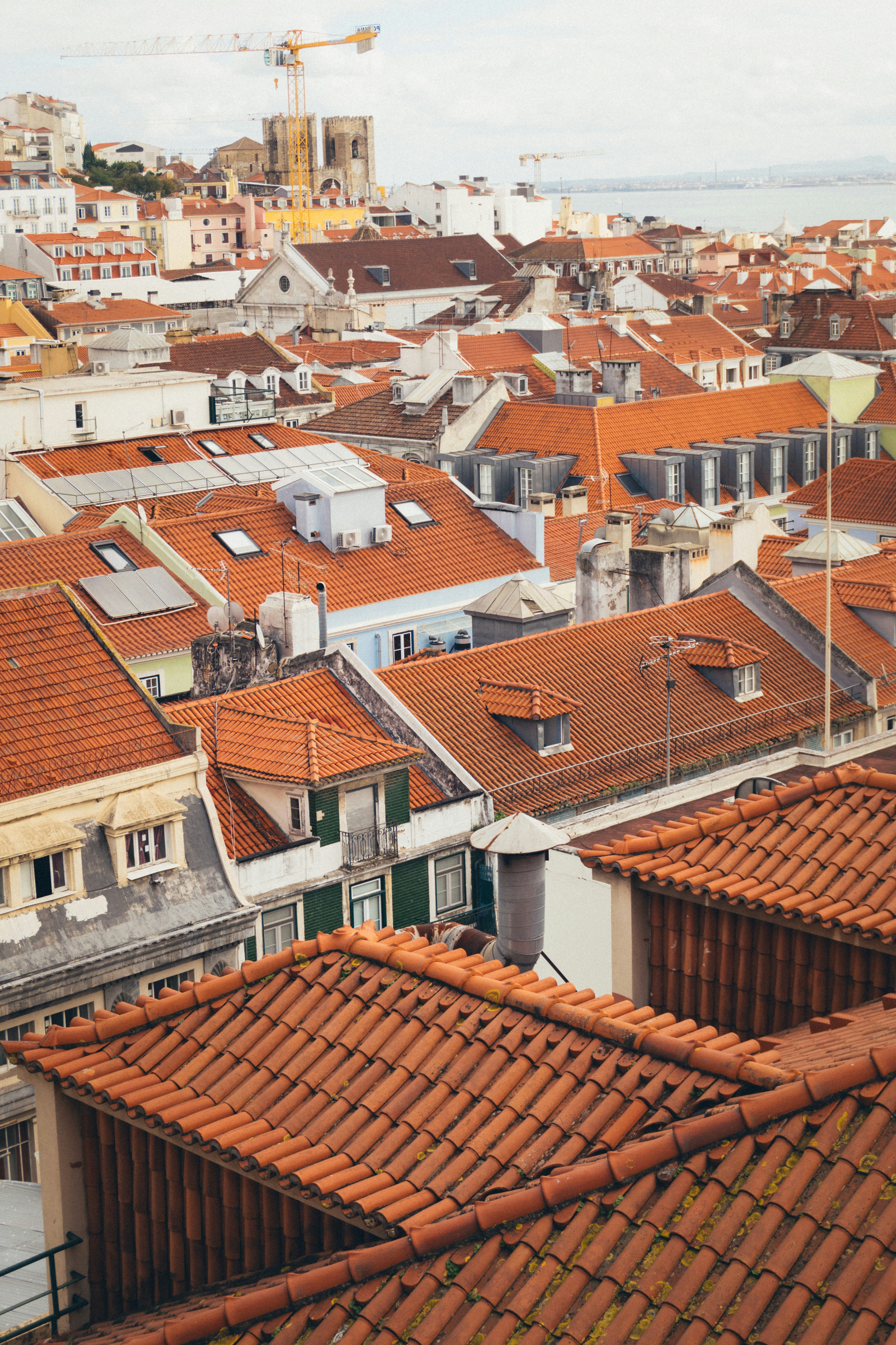 Photo by taraschuiko