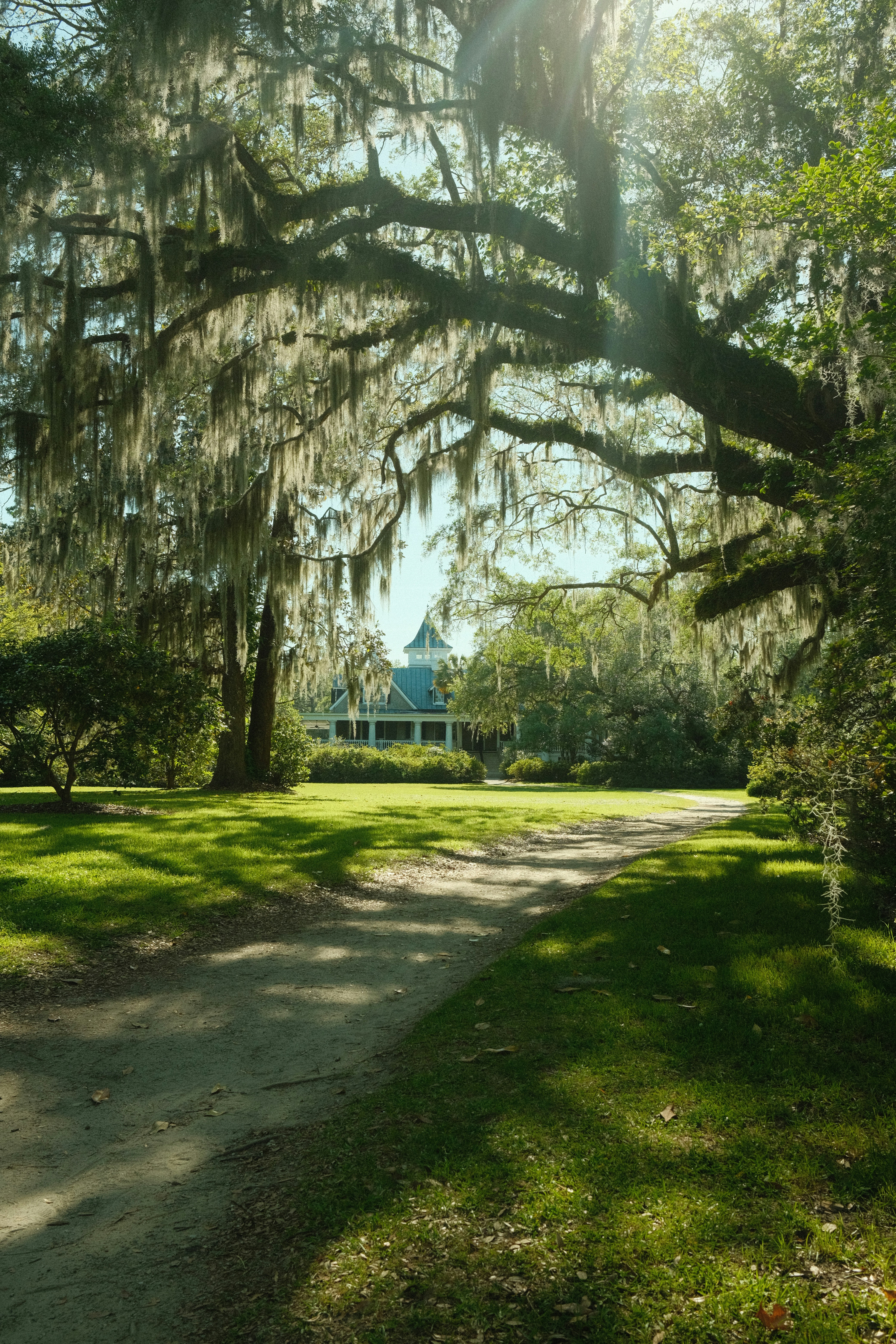 a dirt road with trees and a building in the background