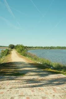 A scenic trail in the DFW area with runners jogging single file, framed by tall trees and blue sky.