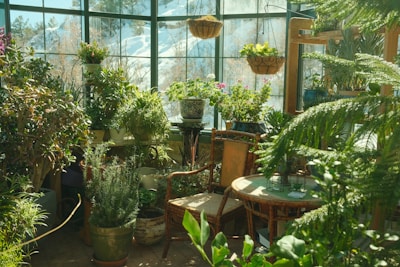 A sunlit greenhouse with vibrant plants and flowers.