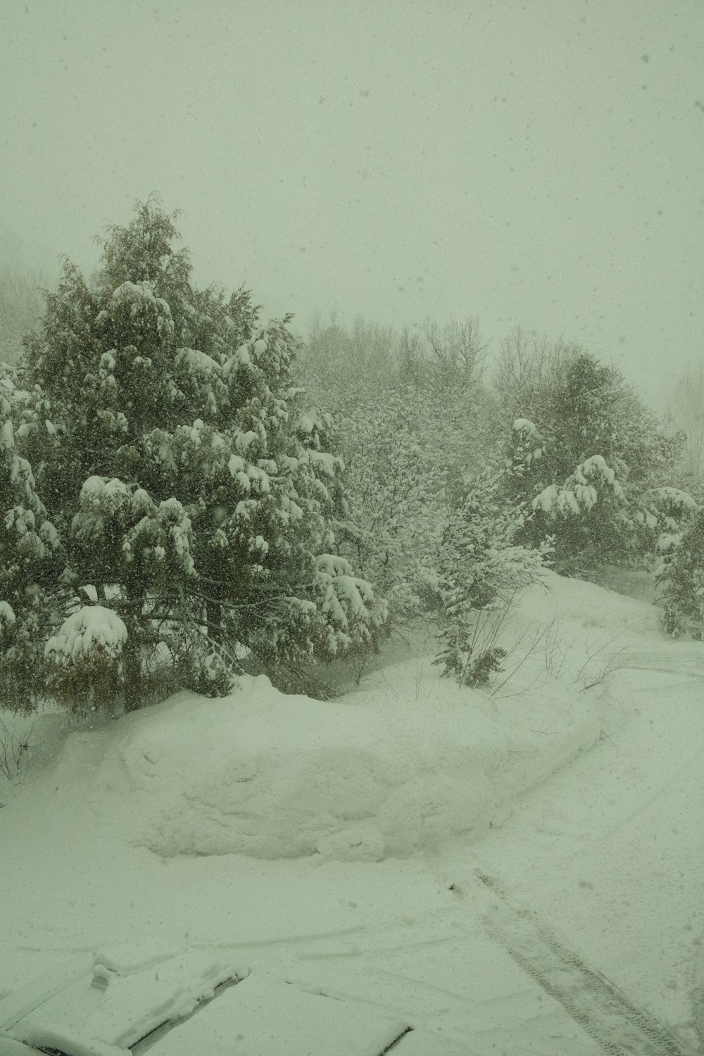 a snow covered road with trees in the background