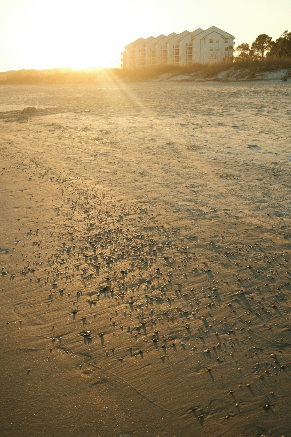 the sun is setting on the beach with footprints in the sand