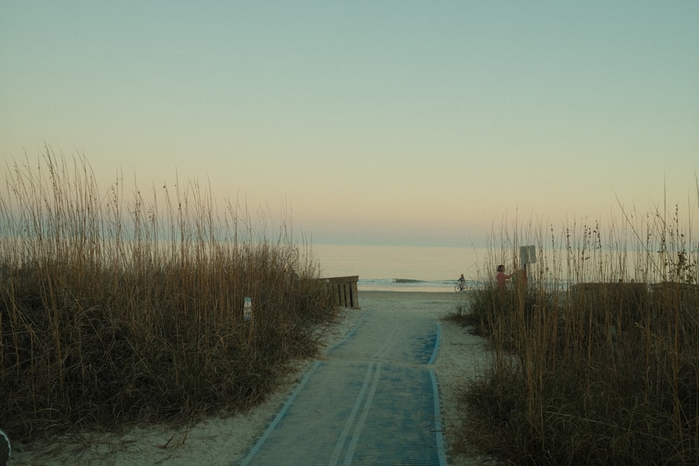 a path leading to a beach with tall grass
