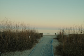 A peaceful beach scene featuring a path leading through tall grass towards the sea. The sky is calm with a pastel gradient as the sun sets or rises. There is a person in the distance on the left side riding a bicycle and a few signs on the right side. The overall environment is serene and quiet.