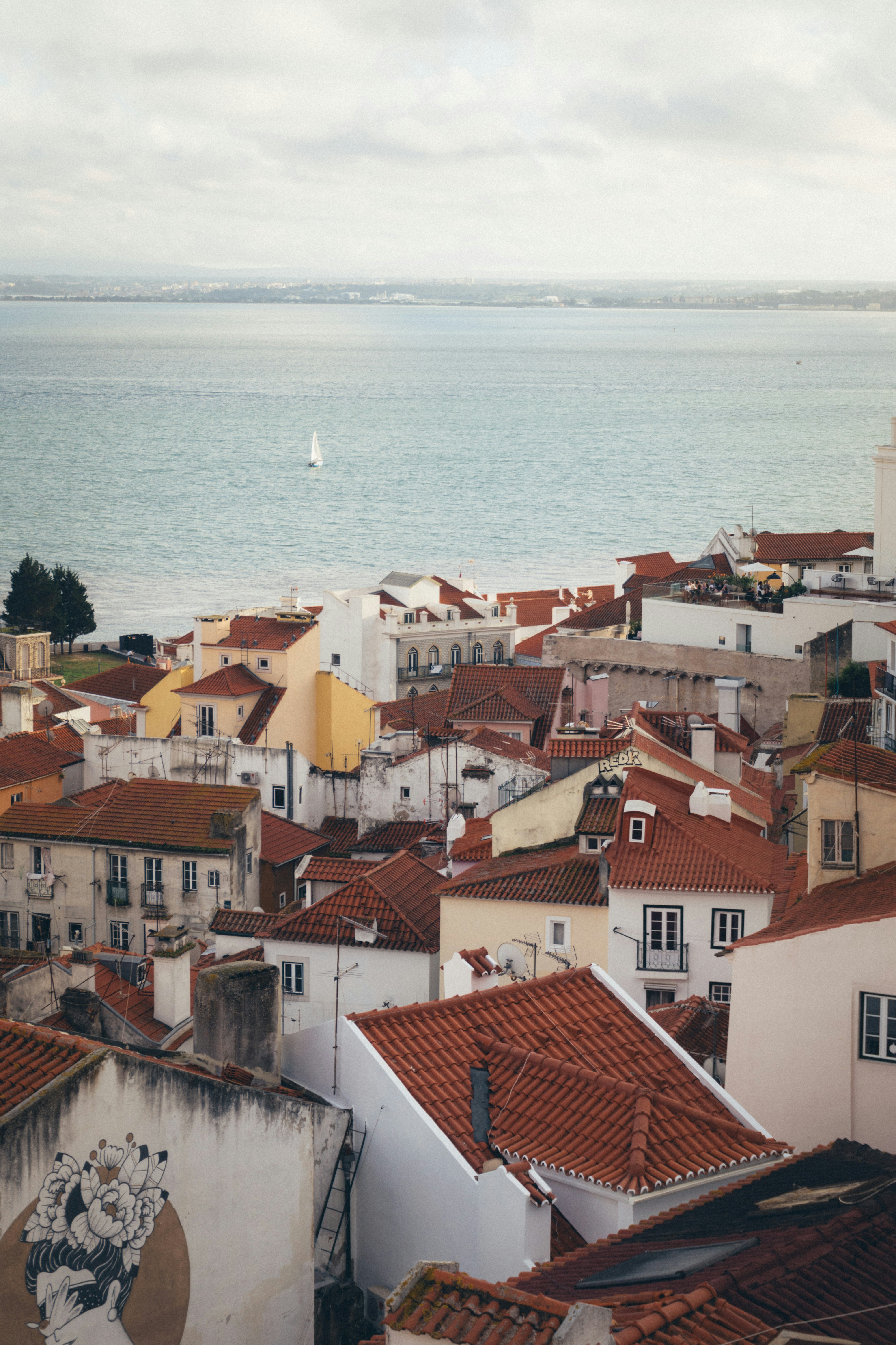 Photo by taraschuiko