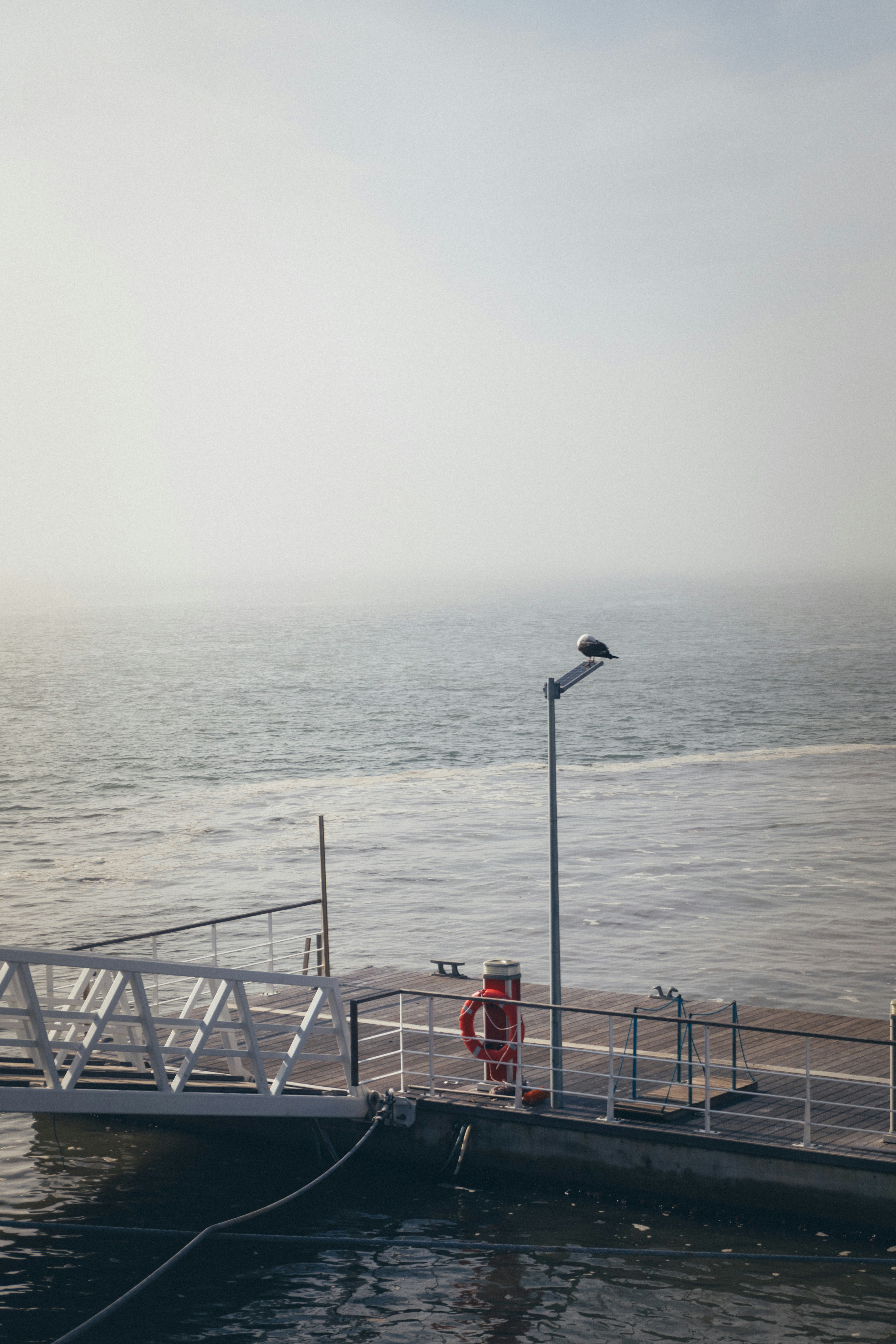 Photo by taraschuiko