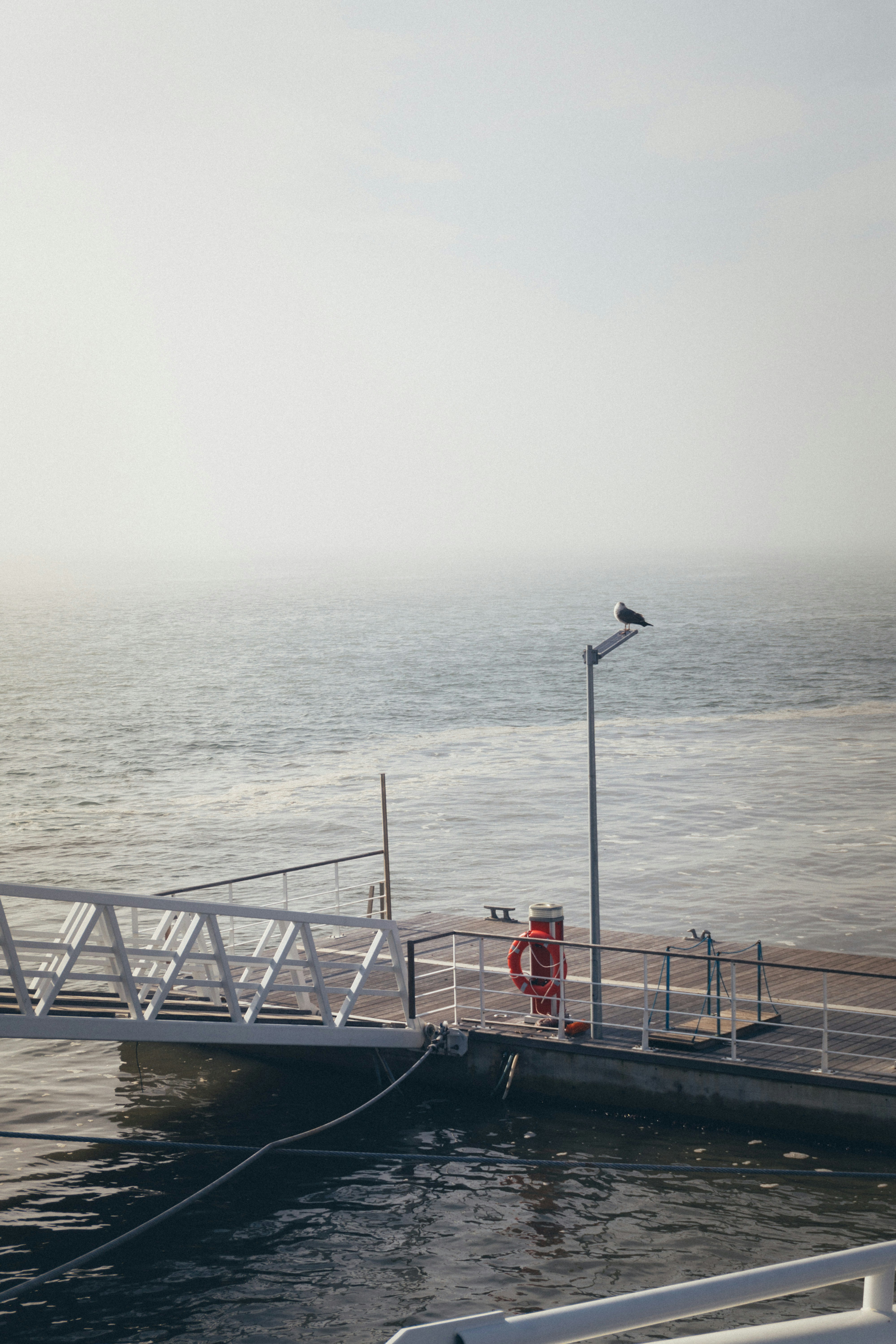 Photo by taraschuiko