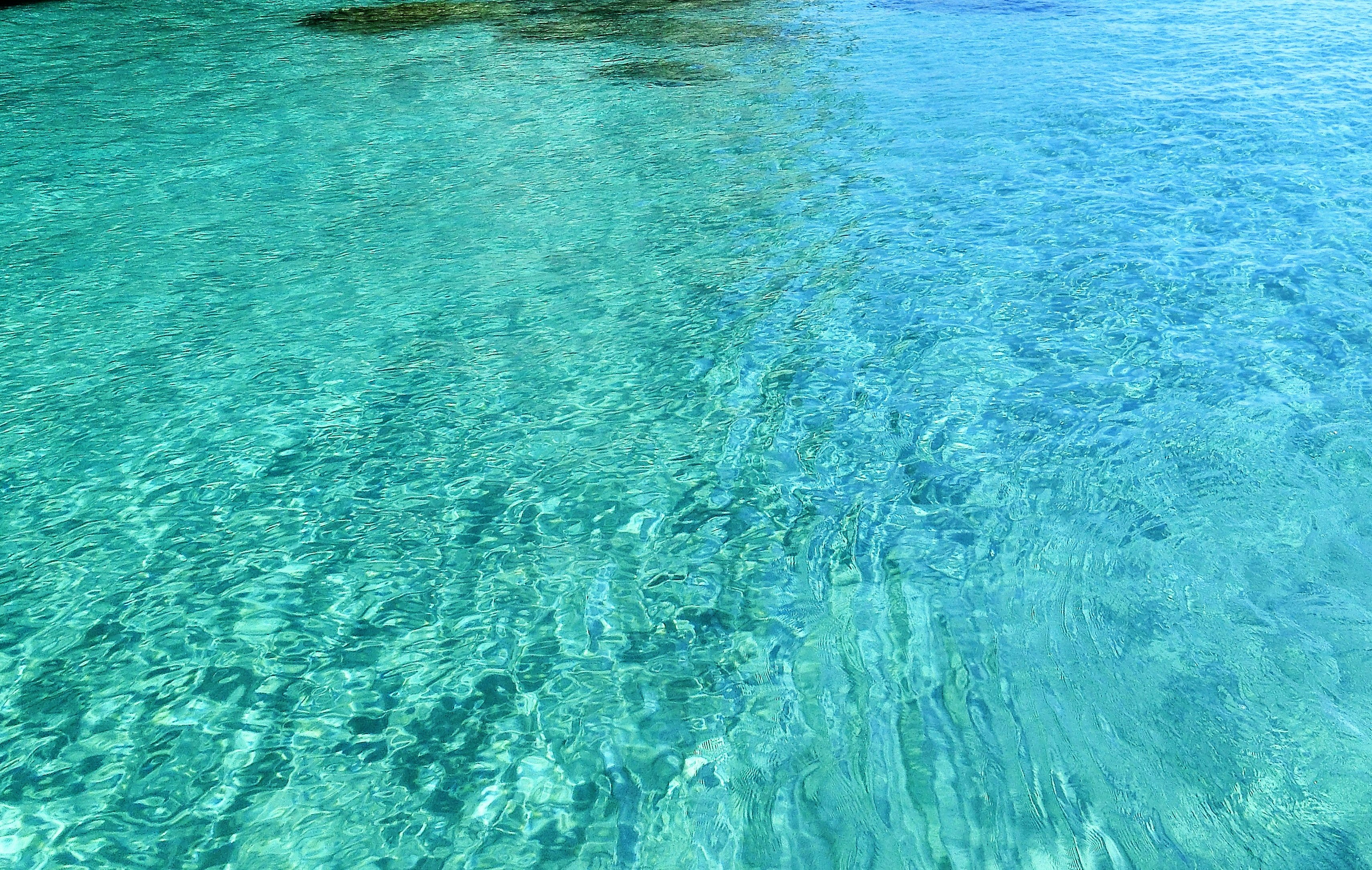 Photo by dieterrohmann