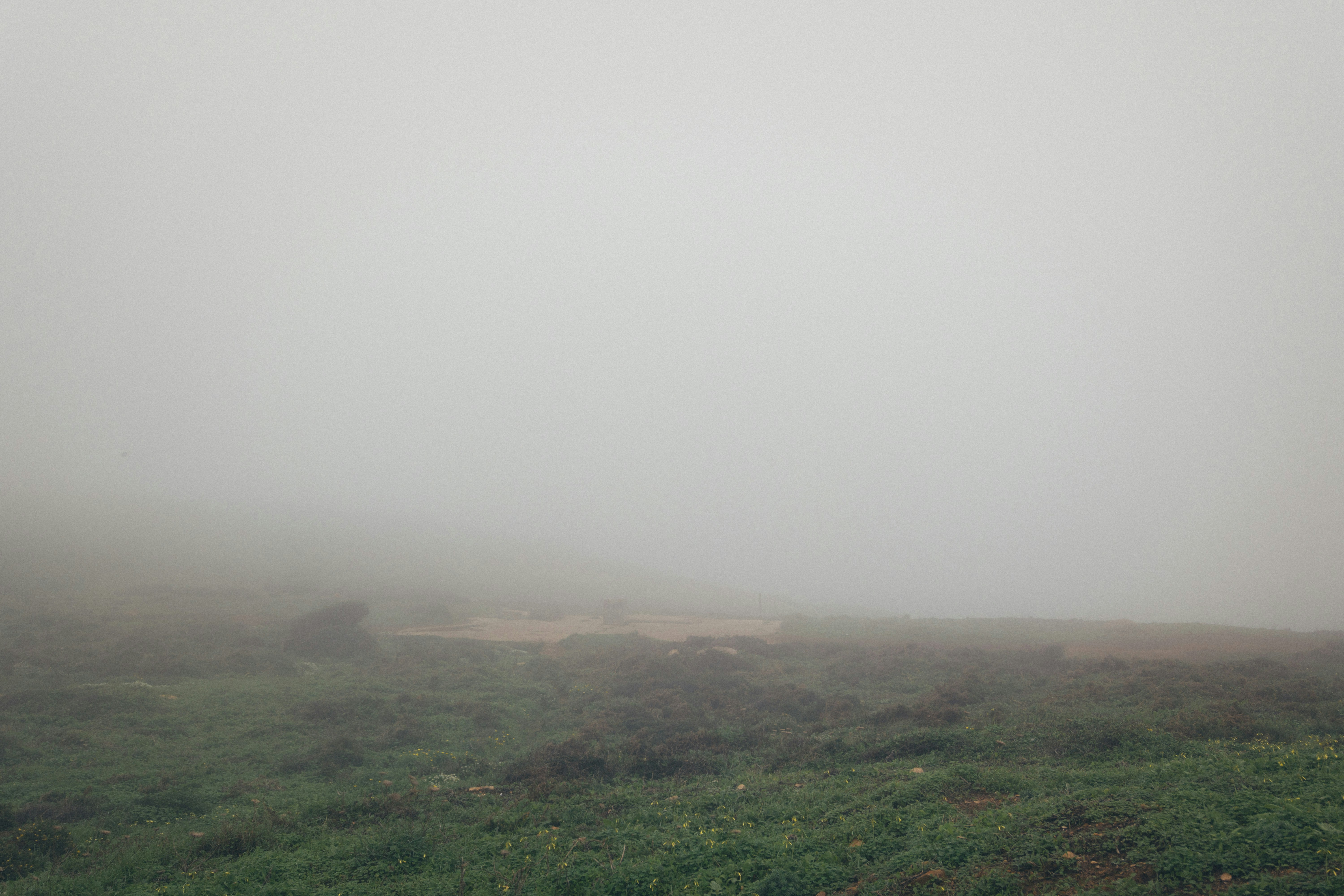 Photo by taraschuiko