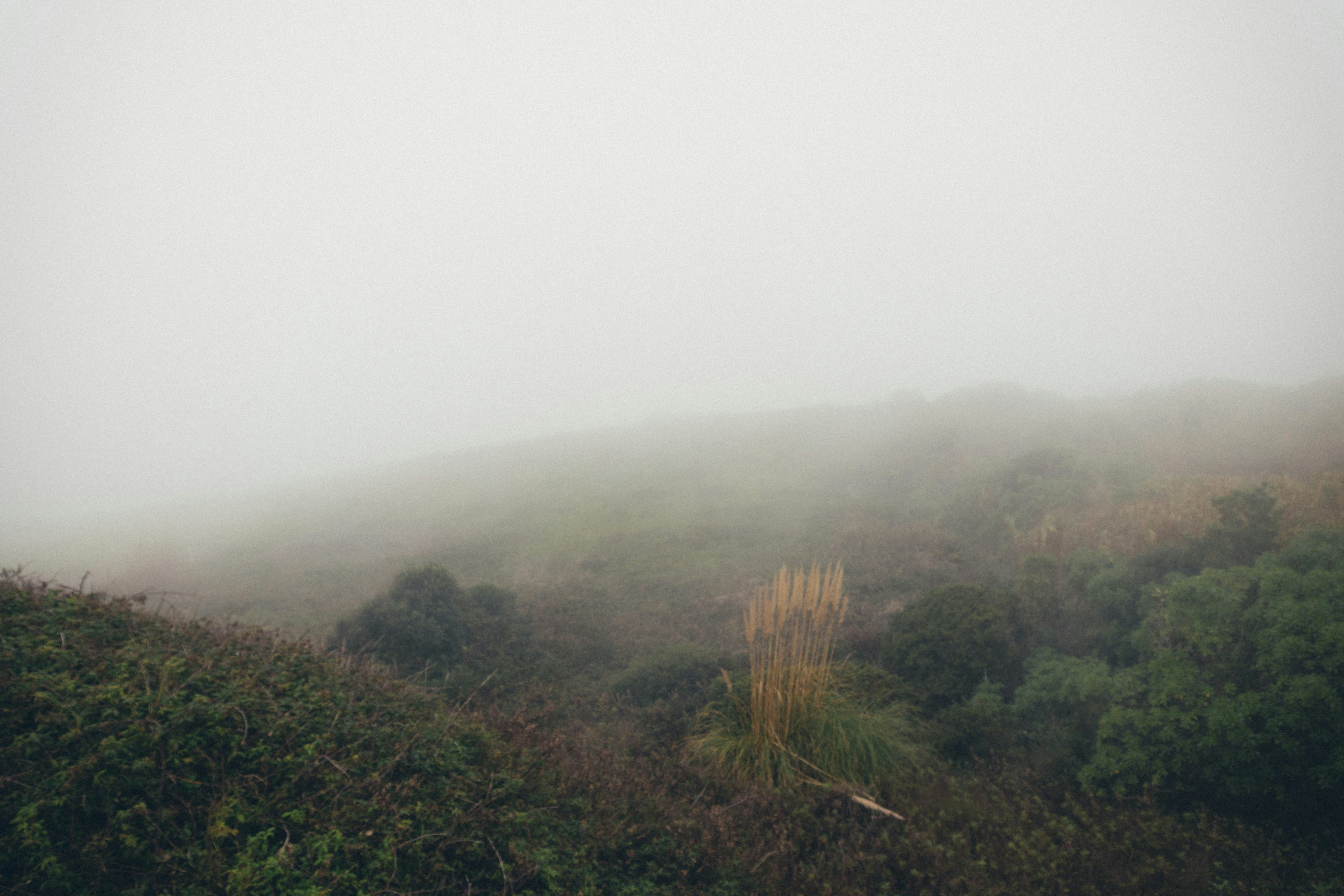 Photo by taraschuiko