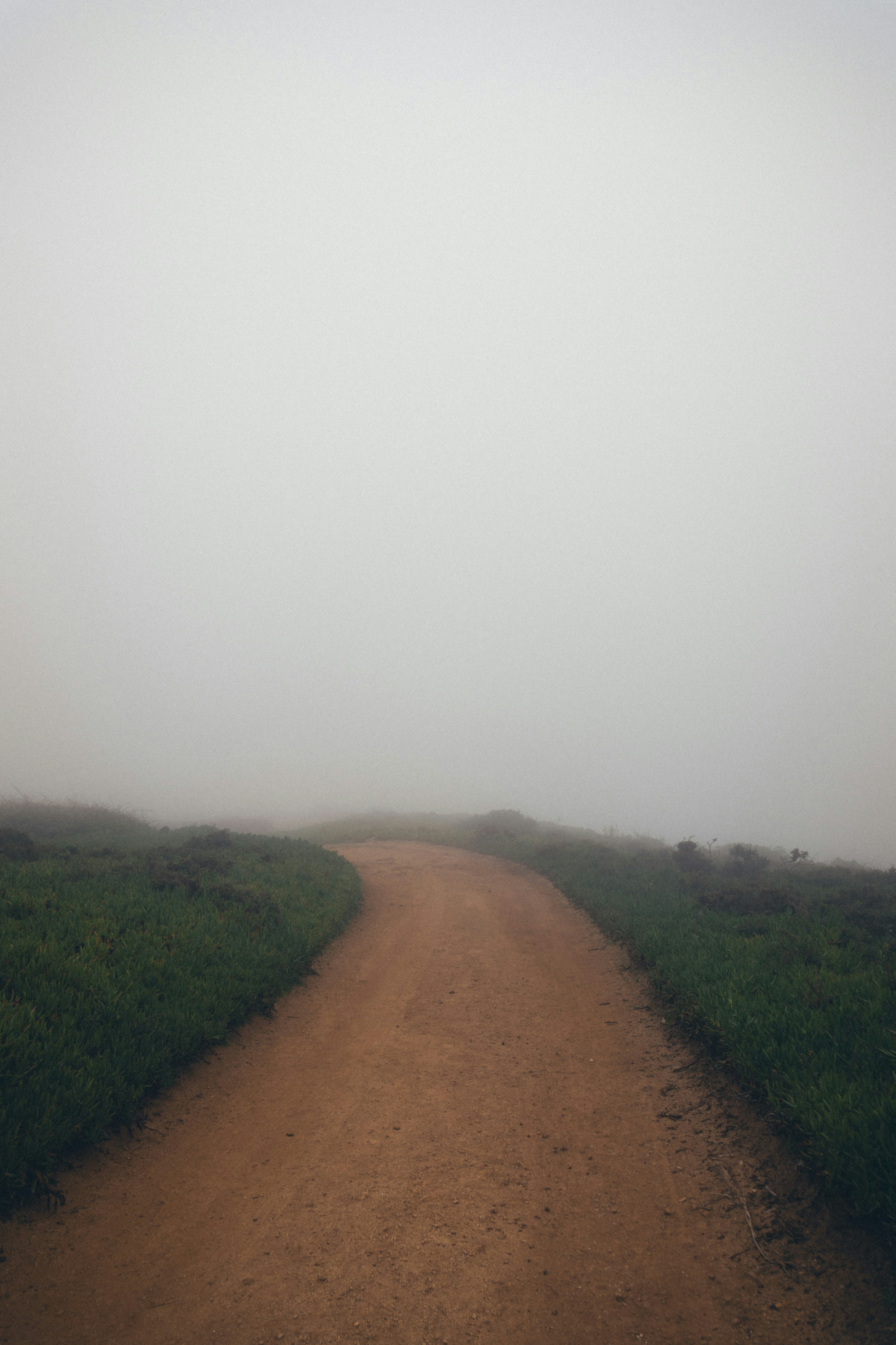 Photo by taraschuiko