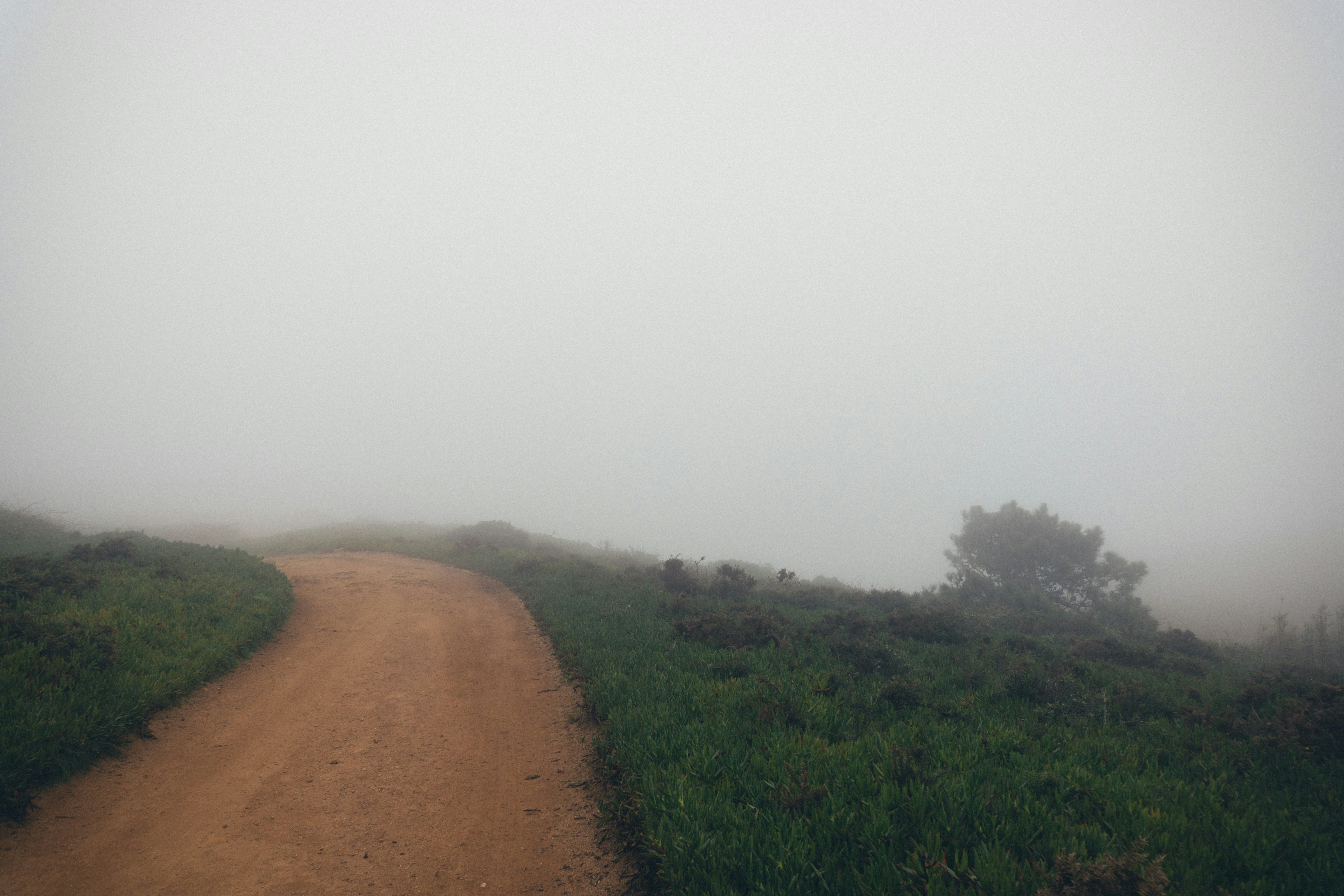 Your Certainty Is Making You Anxious: How civilisation became a machine for laundering uncertainty