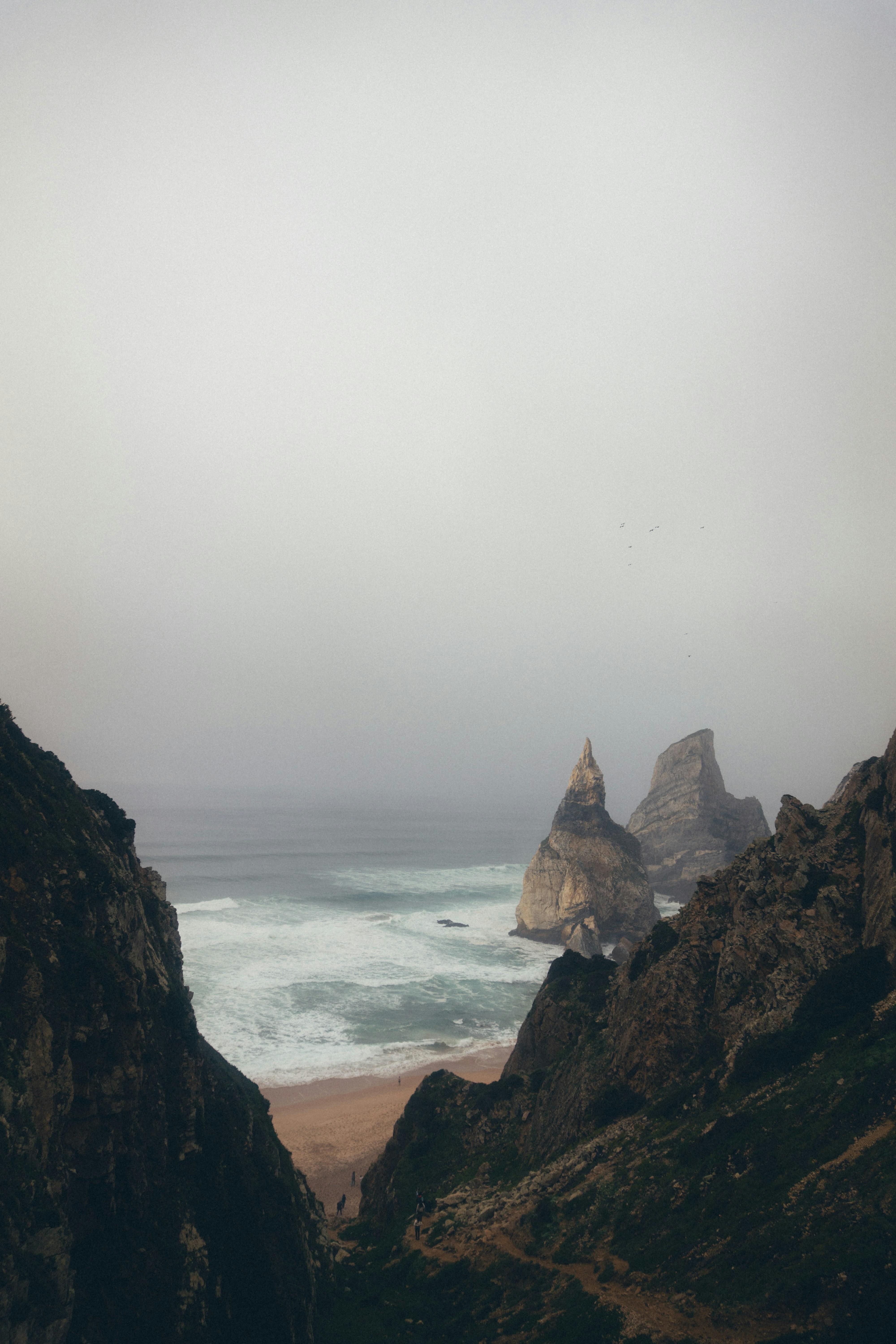 Photo by taraschuiko