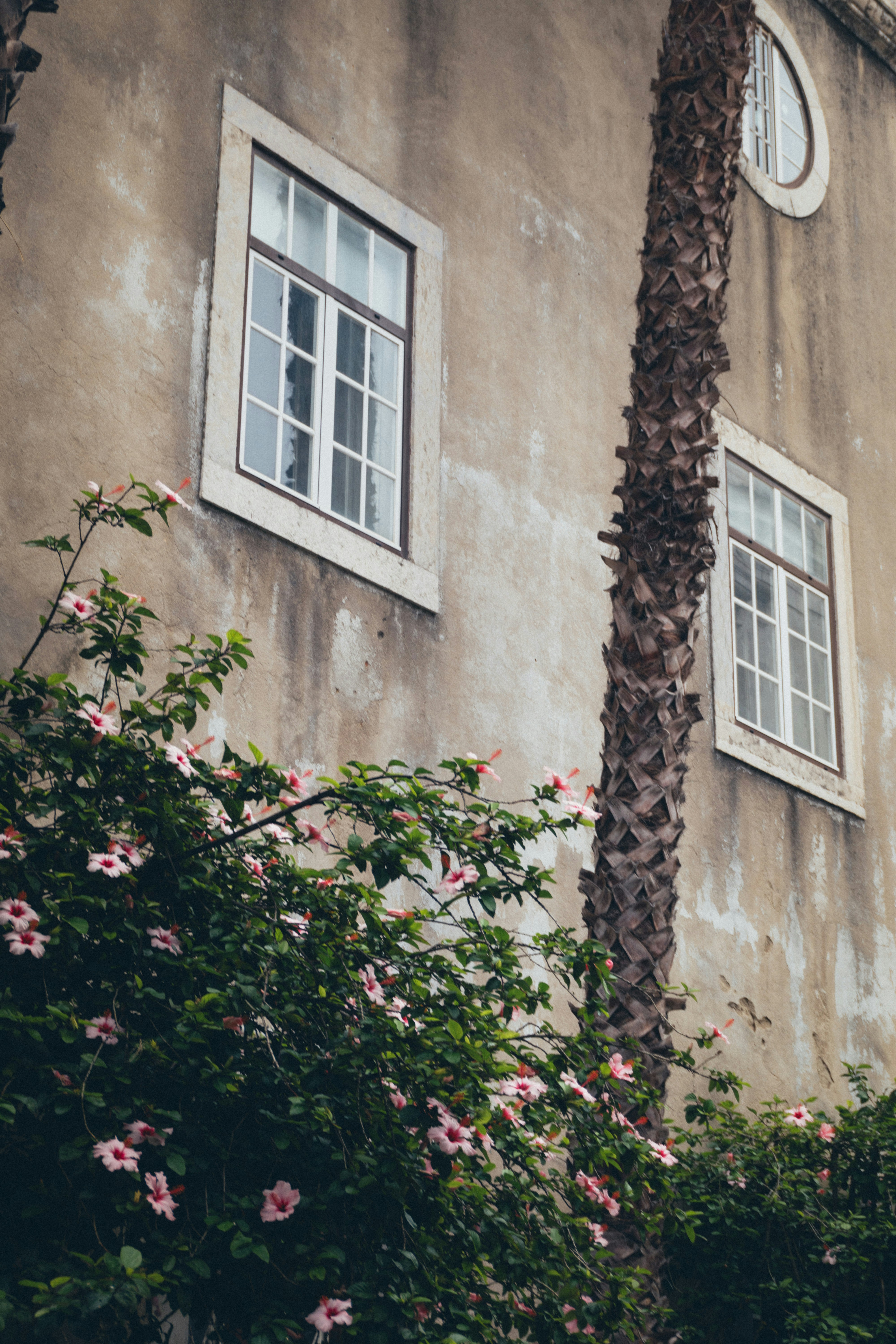 Photo by taraschuiko