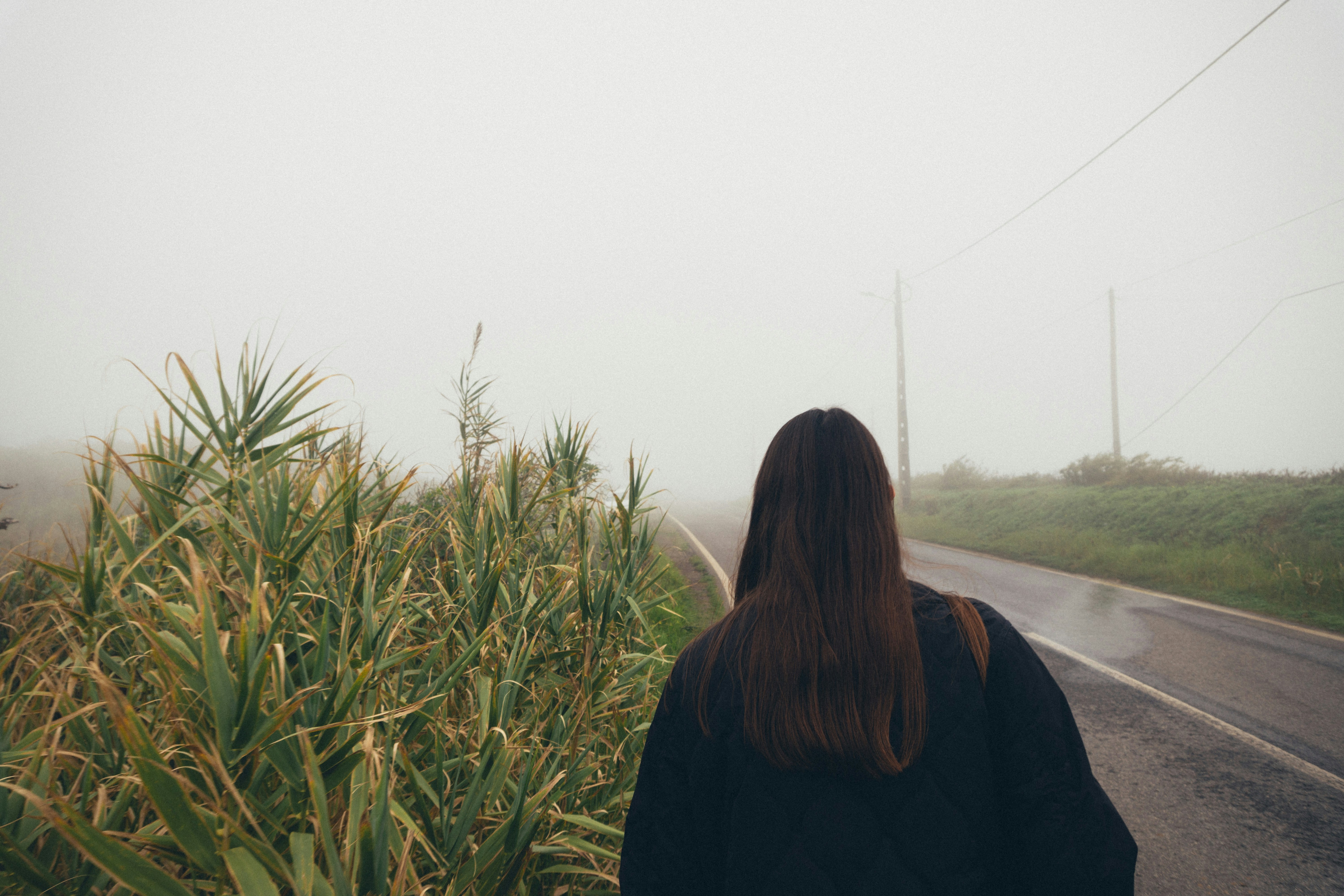 Photo by taraschuiko