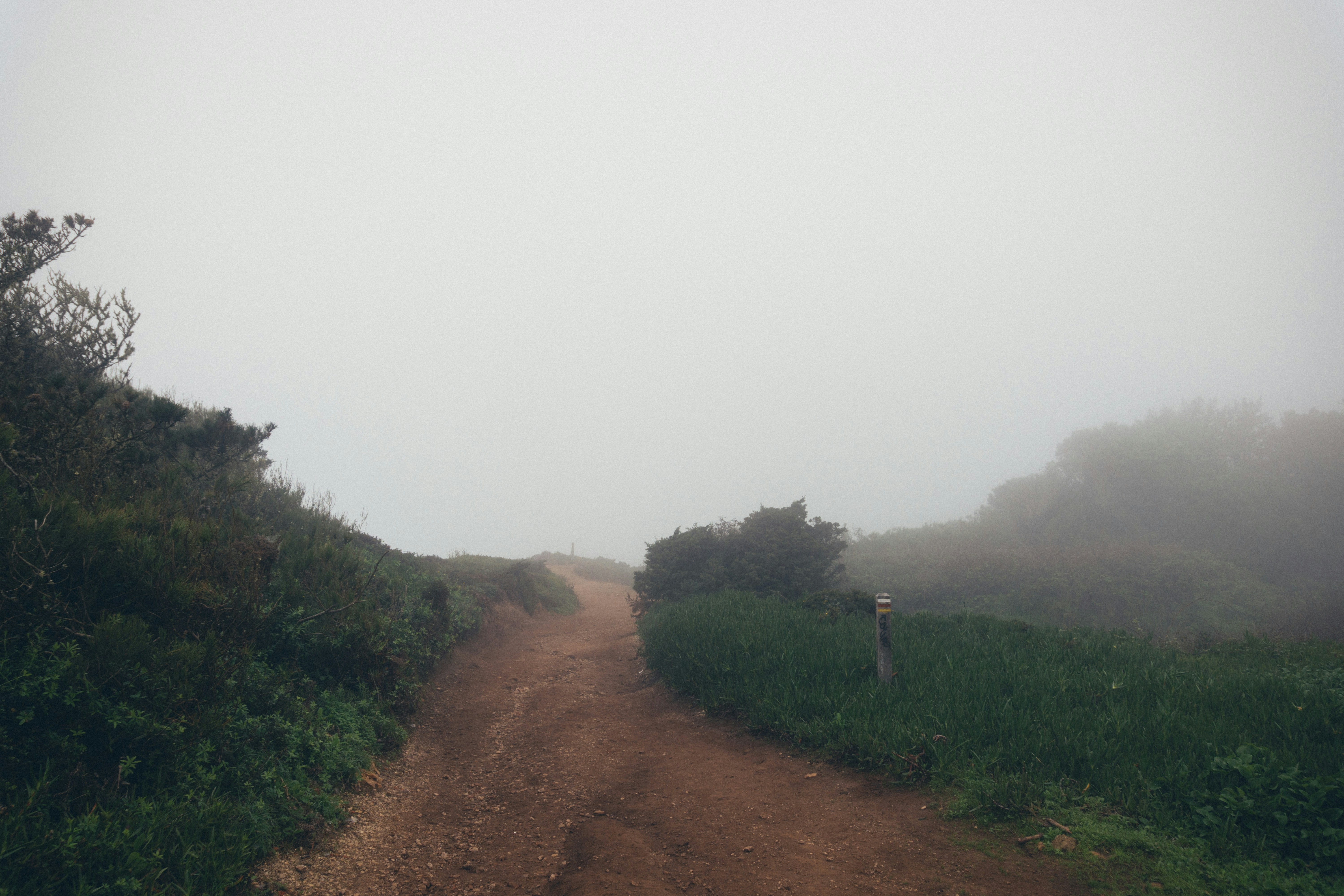 Photo by taraschuiko