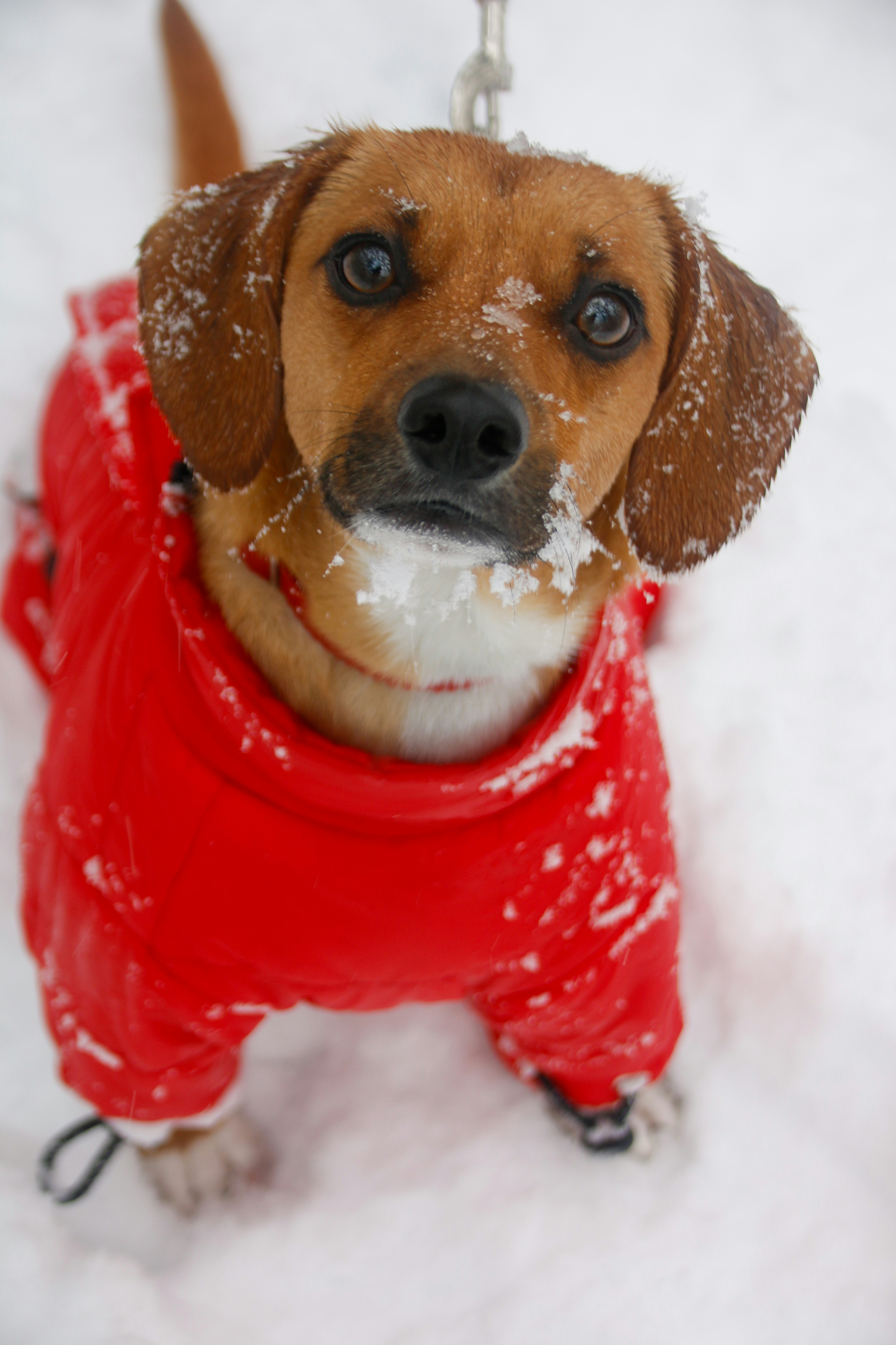 Photo by alla_kemelmakher