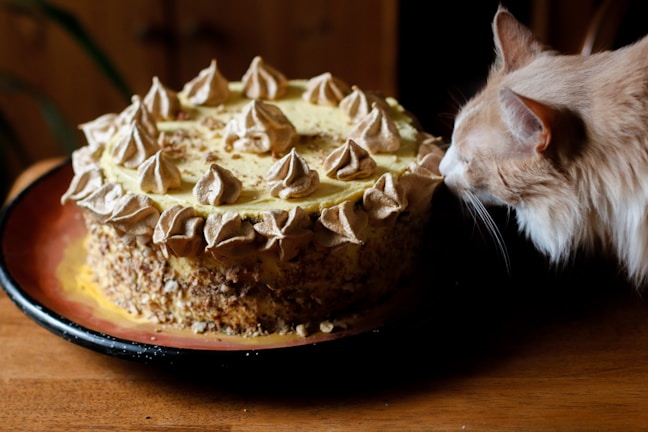 A curious cat licking a creamy treat tube with delight, surrounded by pastel-colored cushions.