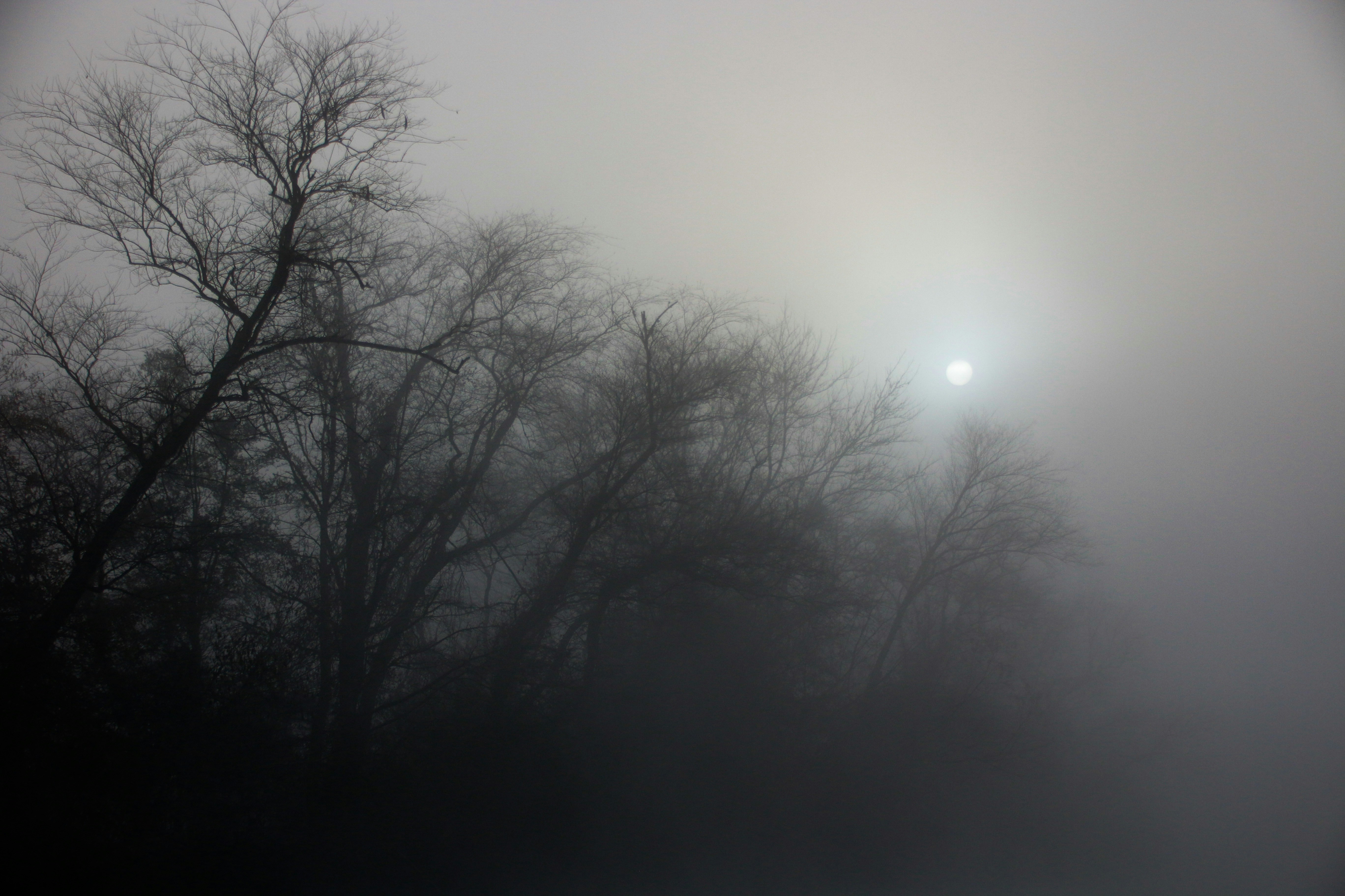 Photo by alla_kemelmakher