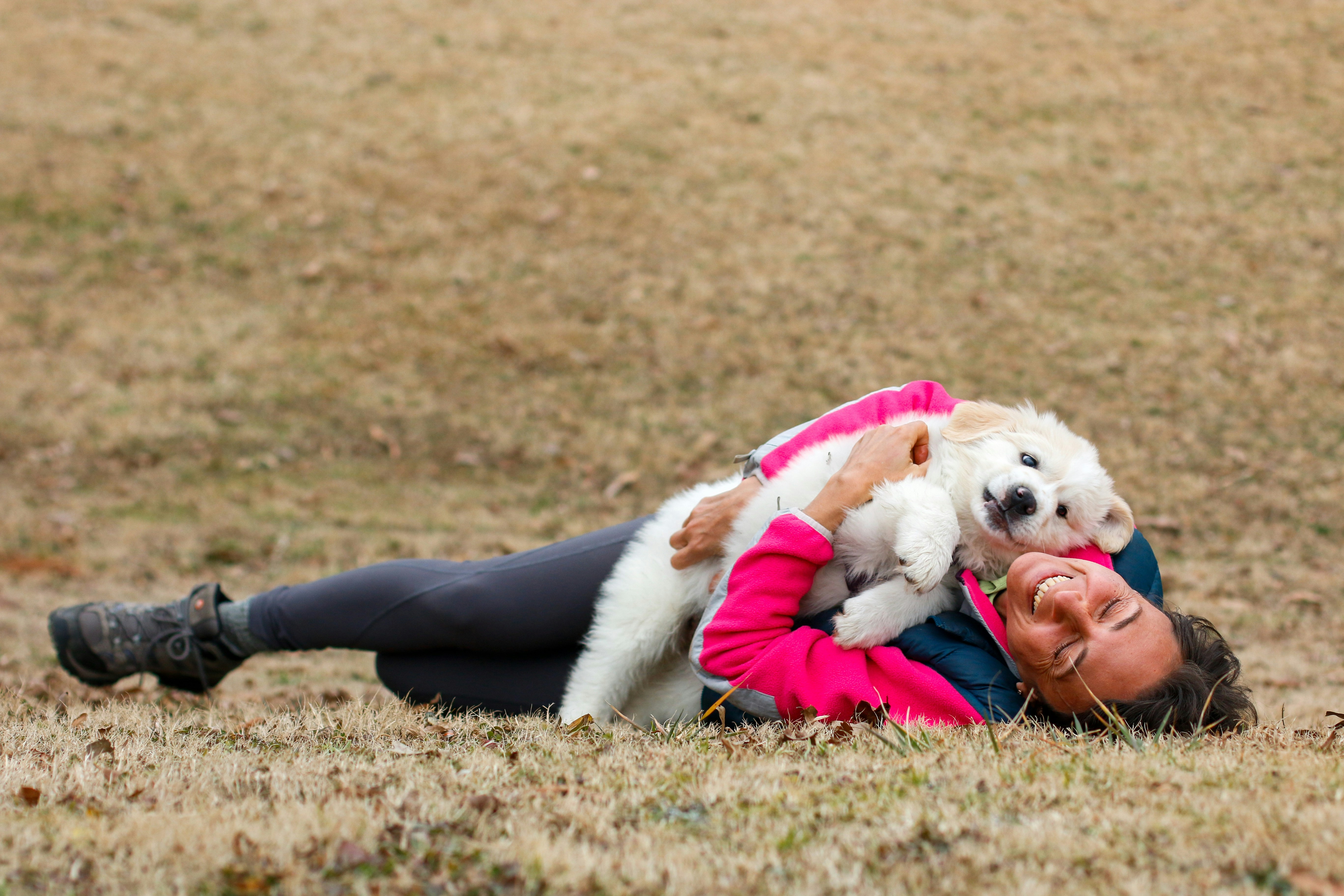 Person comforting an anxious dog with gentle touch