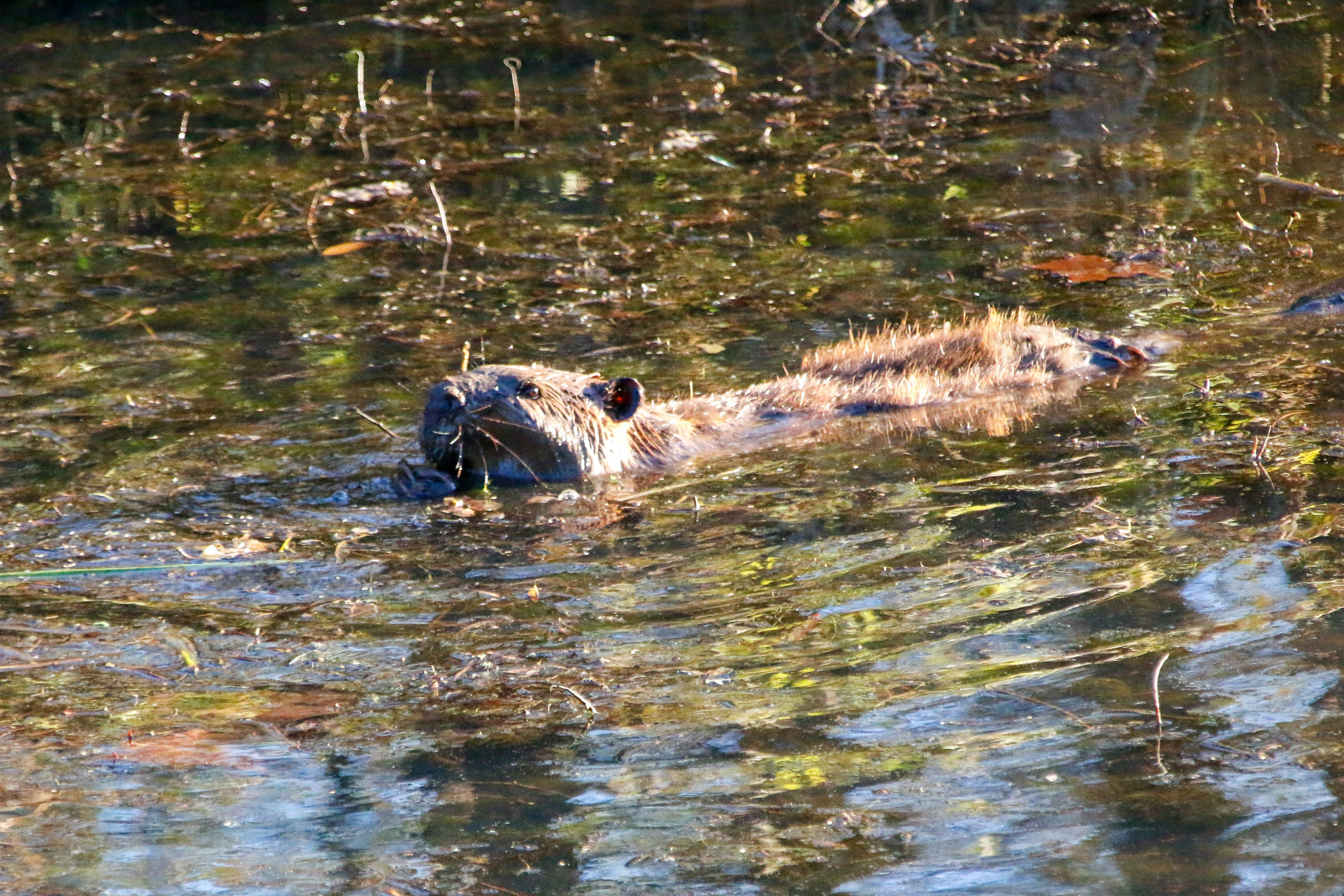 Photo by alla_kemelmakher