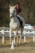 A smiling child enjoying a therapeutic horse ride in a sunny meadow.