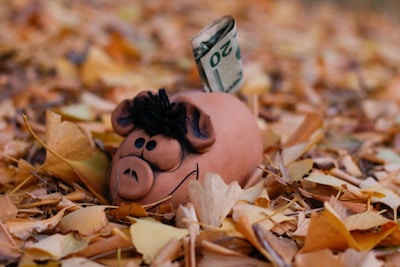 a piggy bank with a dollar bill sticking out of it