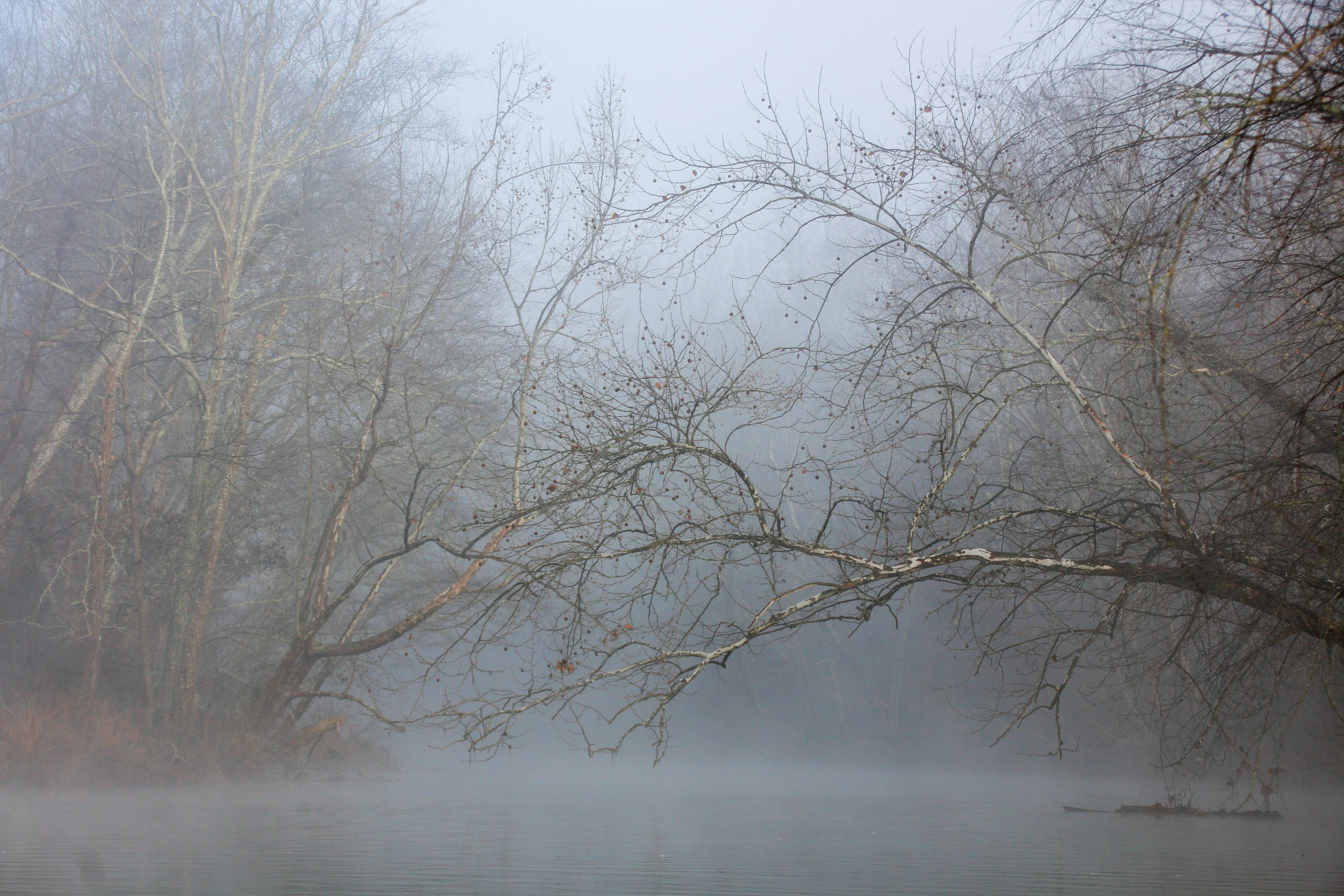 Photo by alla_kemelmakher