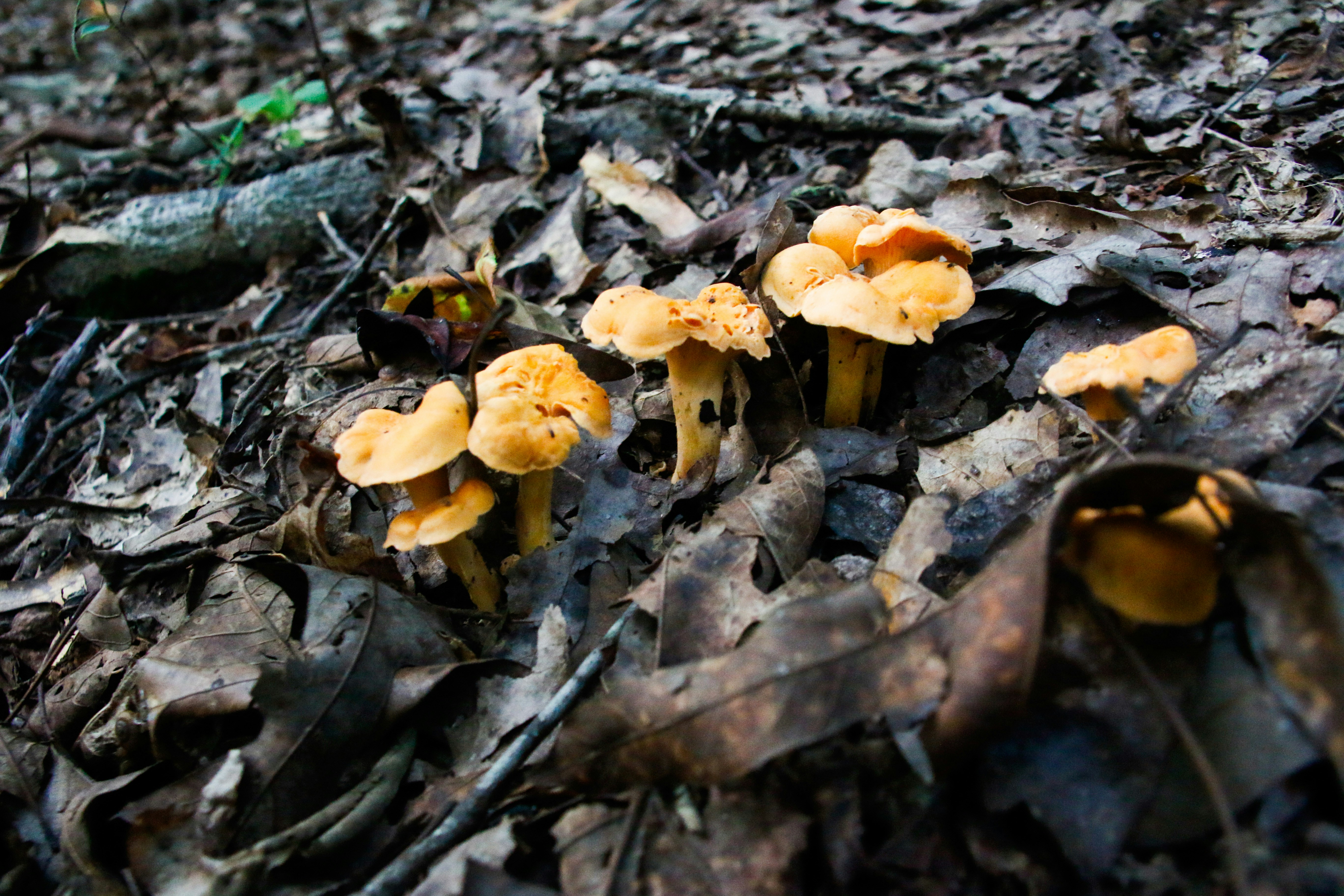 Photo by alla_kemelmakher