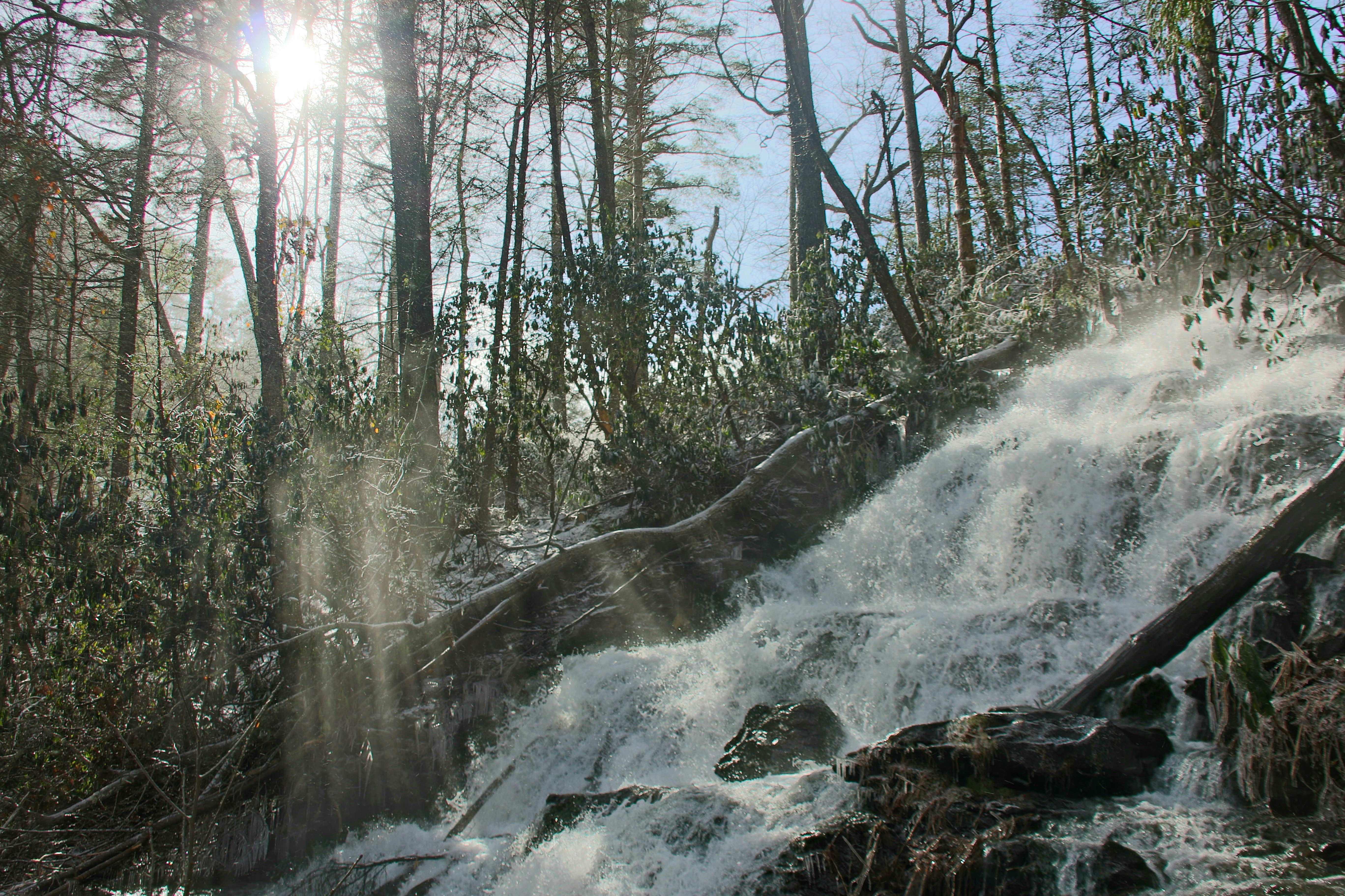 Photo by alla_kemelmakher