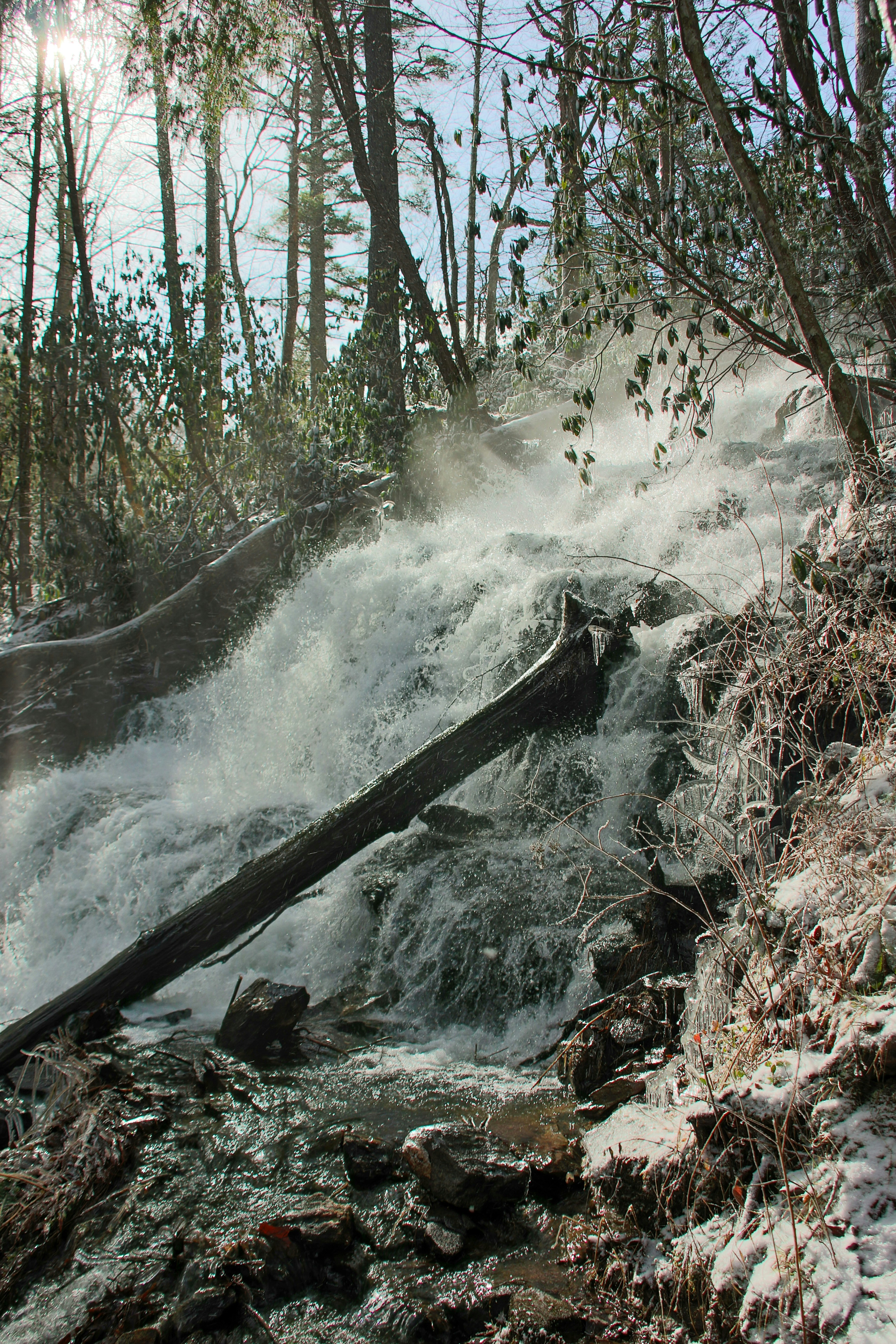 Photo by alla_kemelmakher