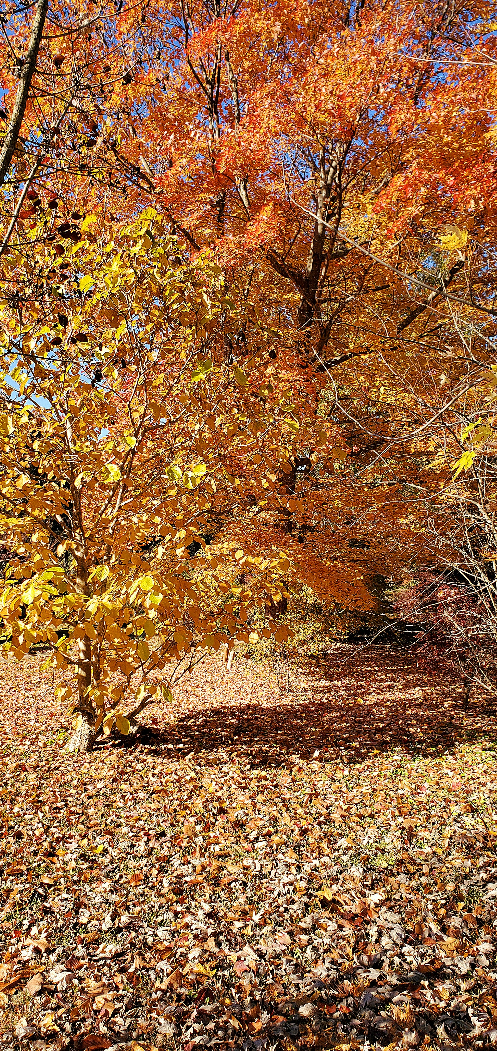 Photo by karolinabobek