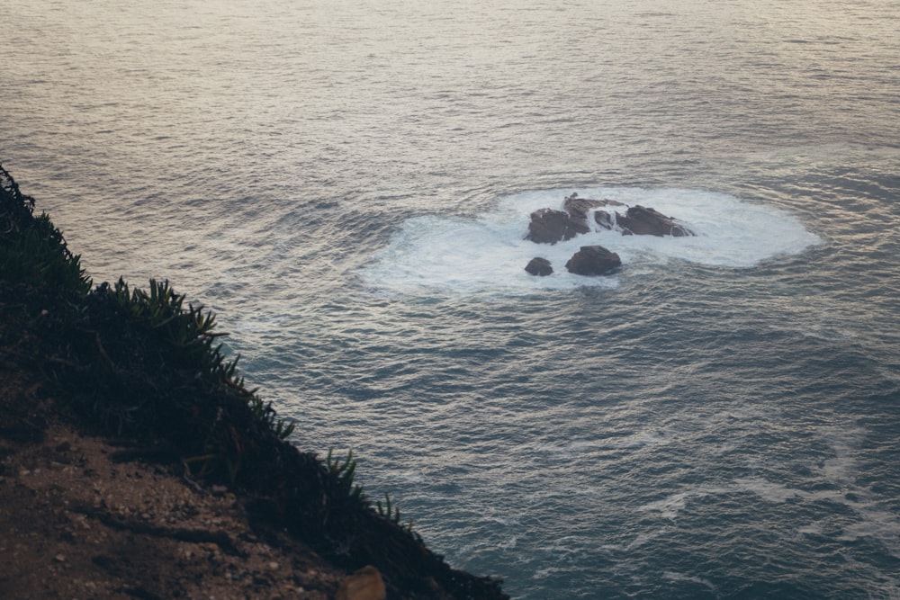 a body of water with some rocks in it