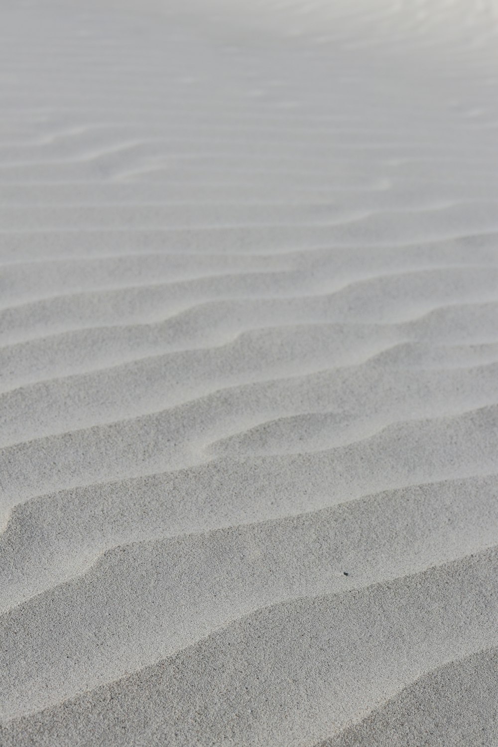 a white sand dune with small ridges in the sand