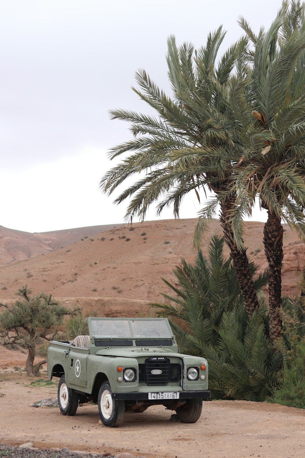 a green truck parked in front of a palm tree