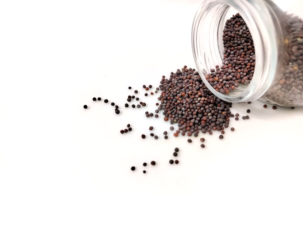 a glass jar filled with black seed on top of a white table