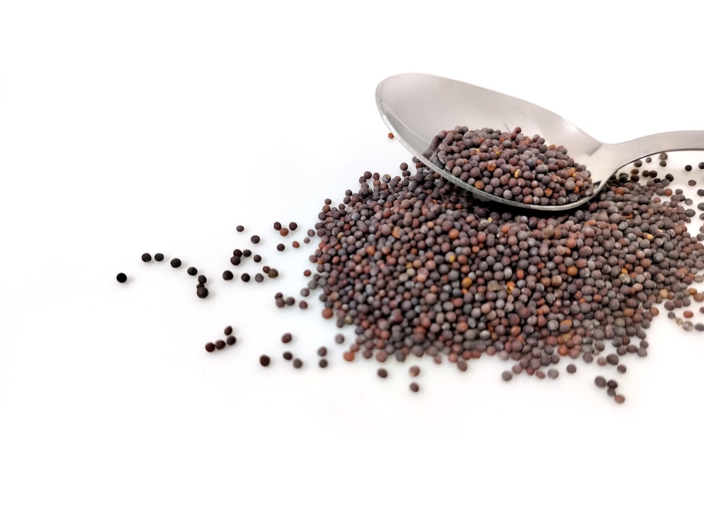a pile of black seed next to a spoon