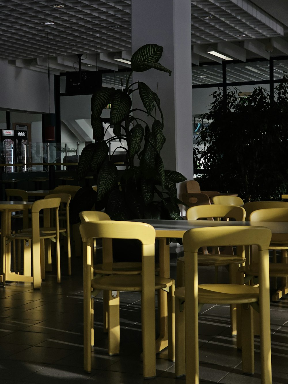 a table and chairs in a room with a plant