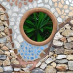 a potted plant sitting inside of a stone wall