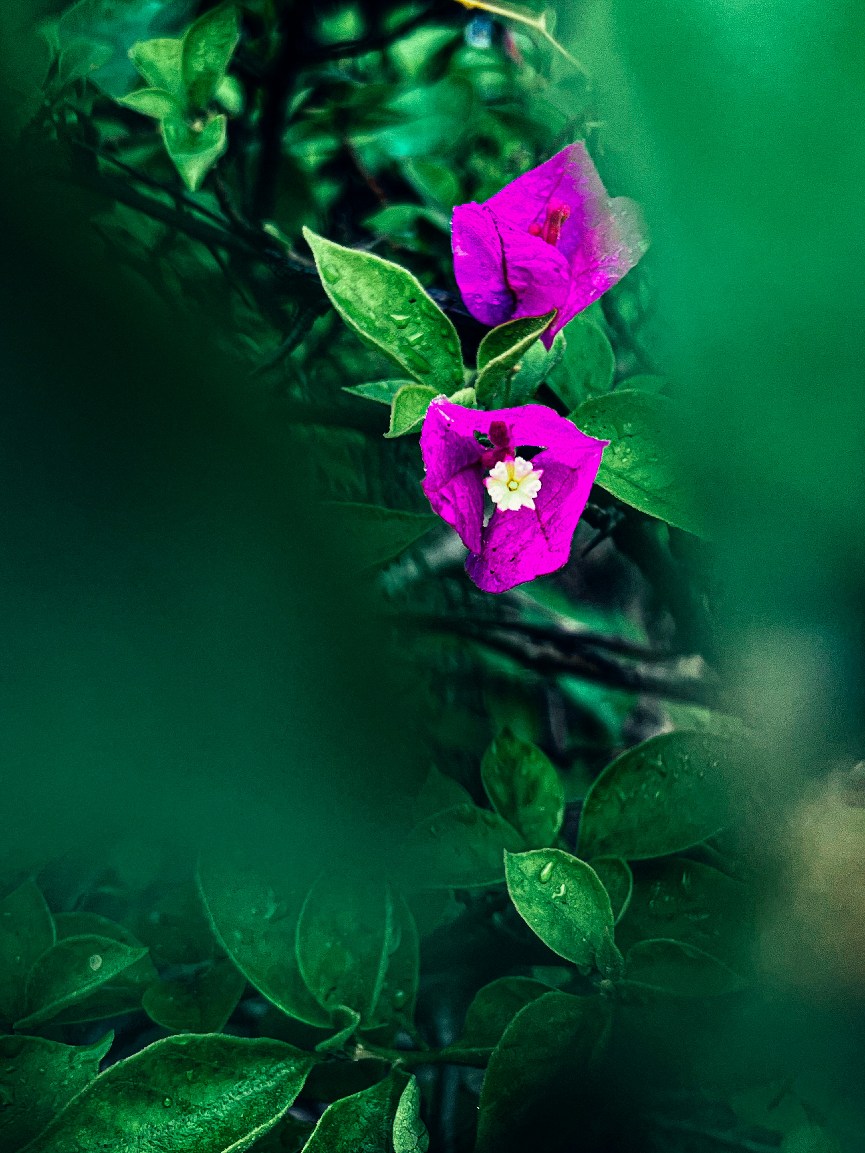 Photo by double_k_in_me