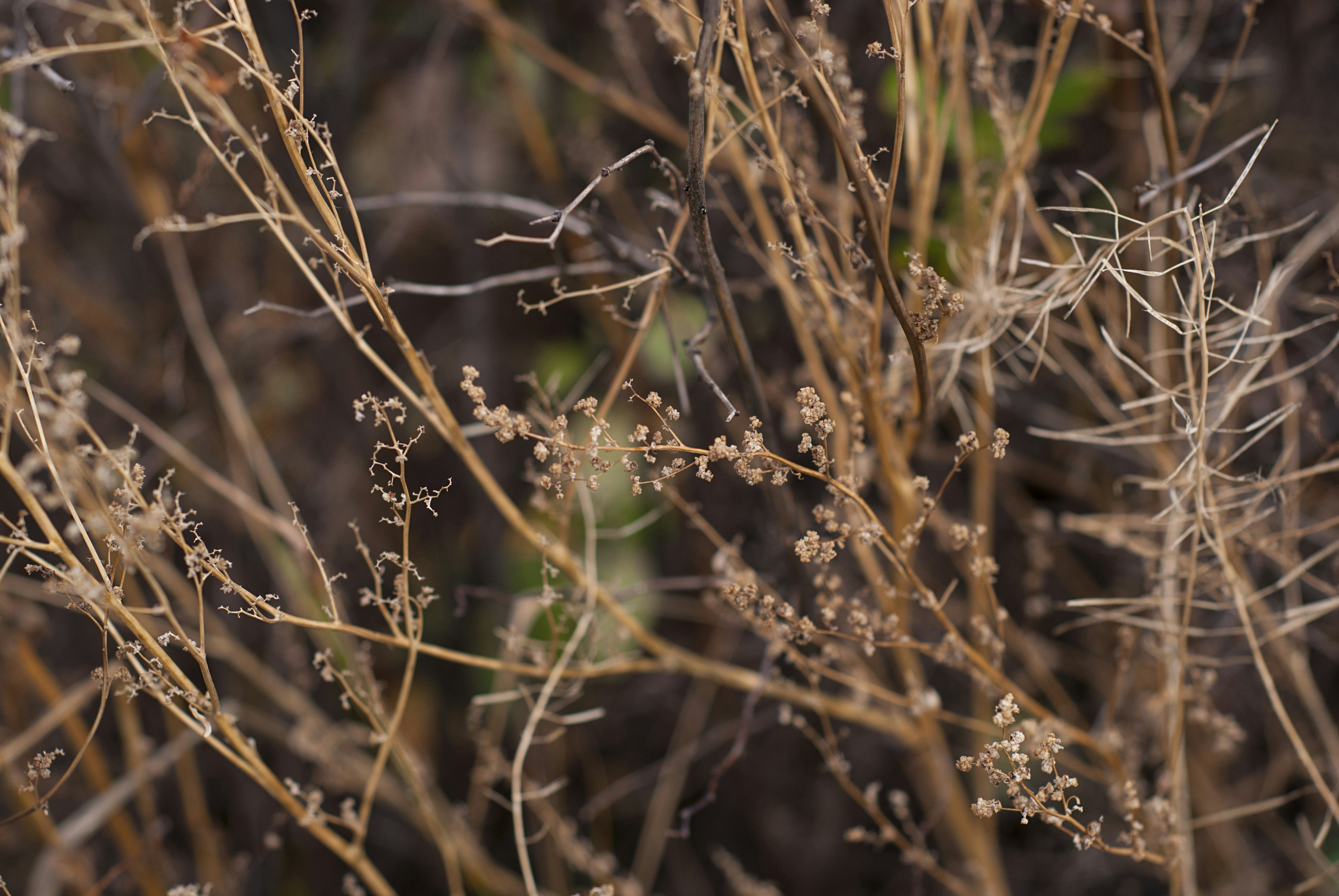 Photo by kovalskihelga