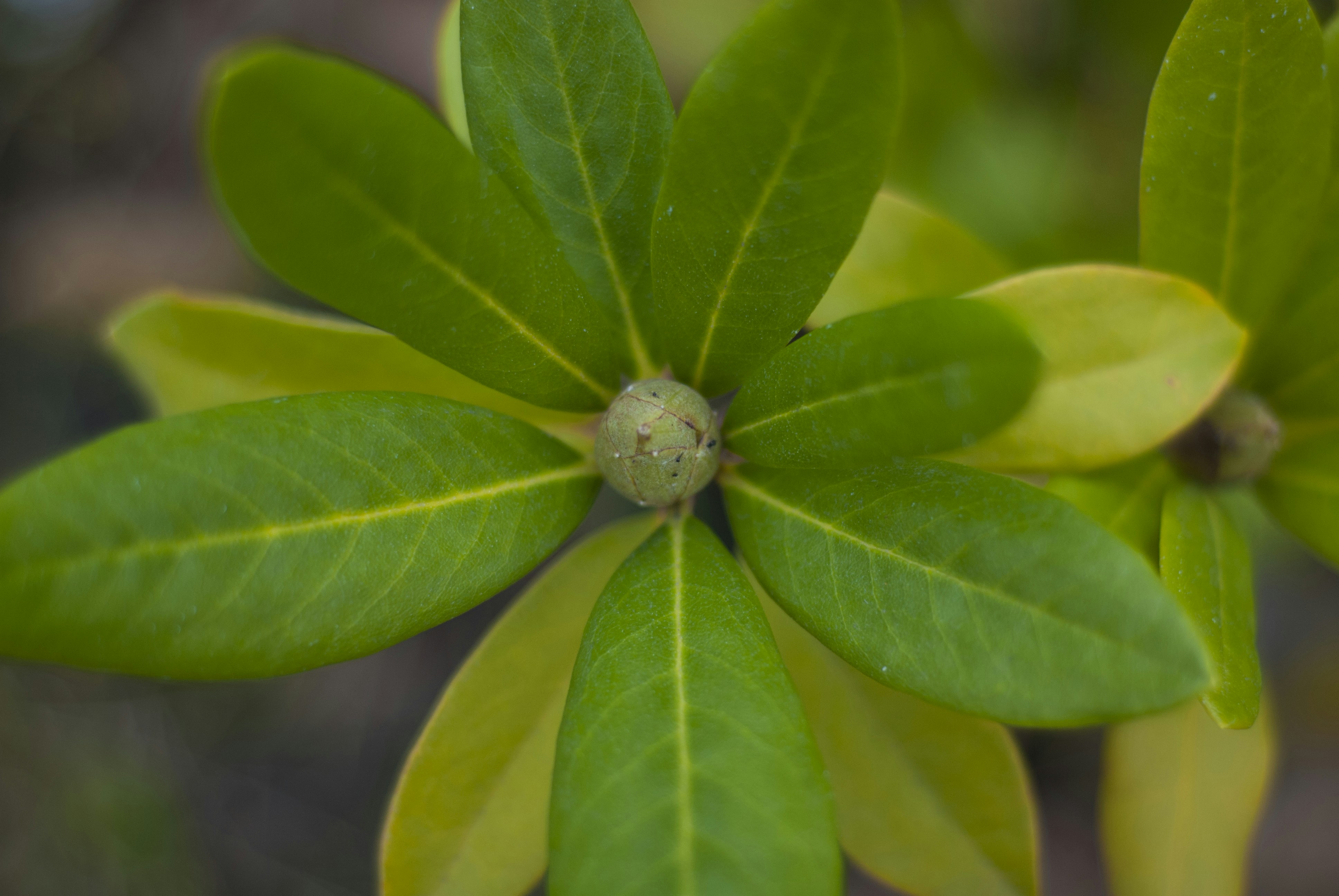 Photo by kovalskihelga