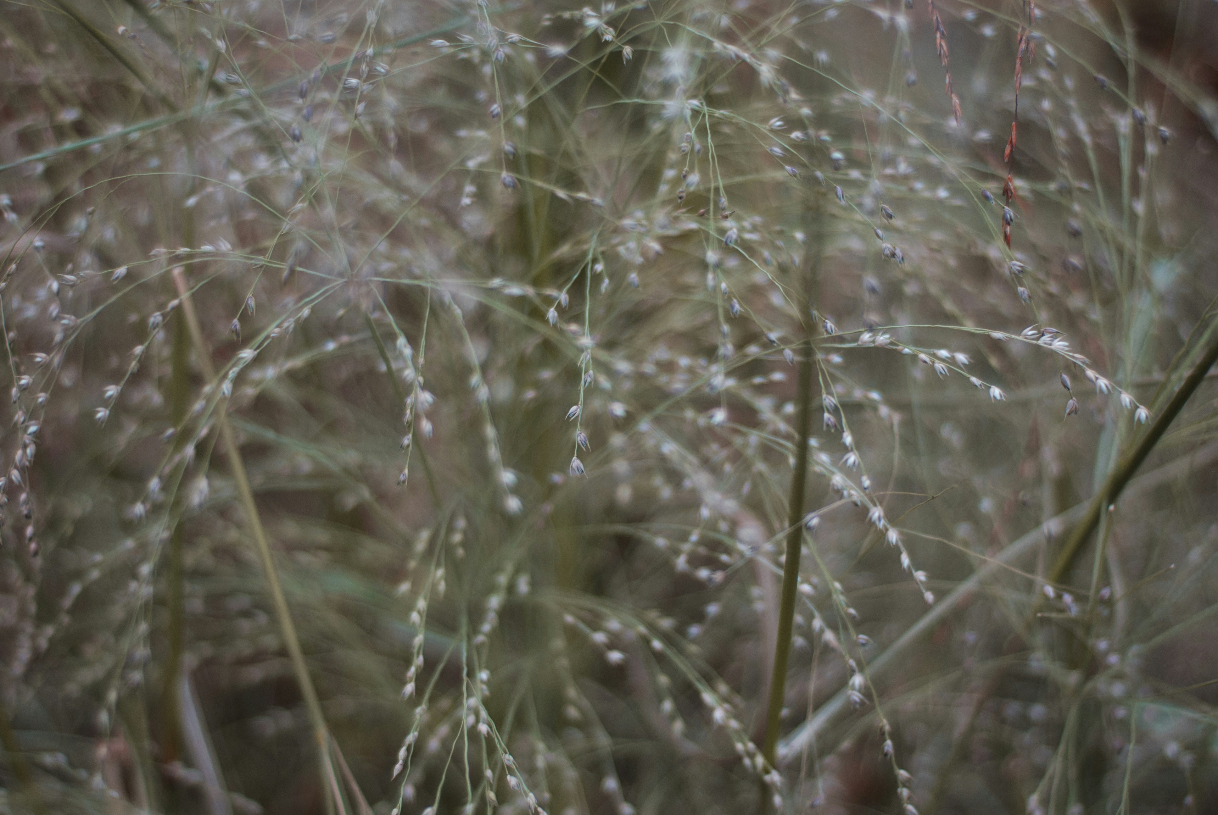 Photo by kovalskihelga