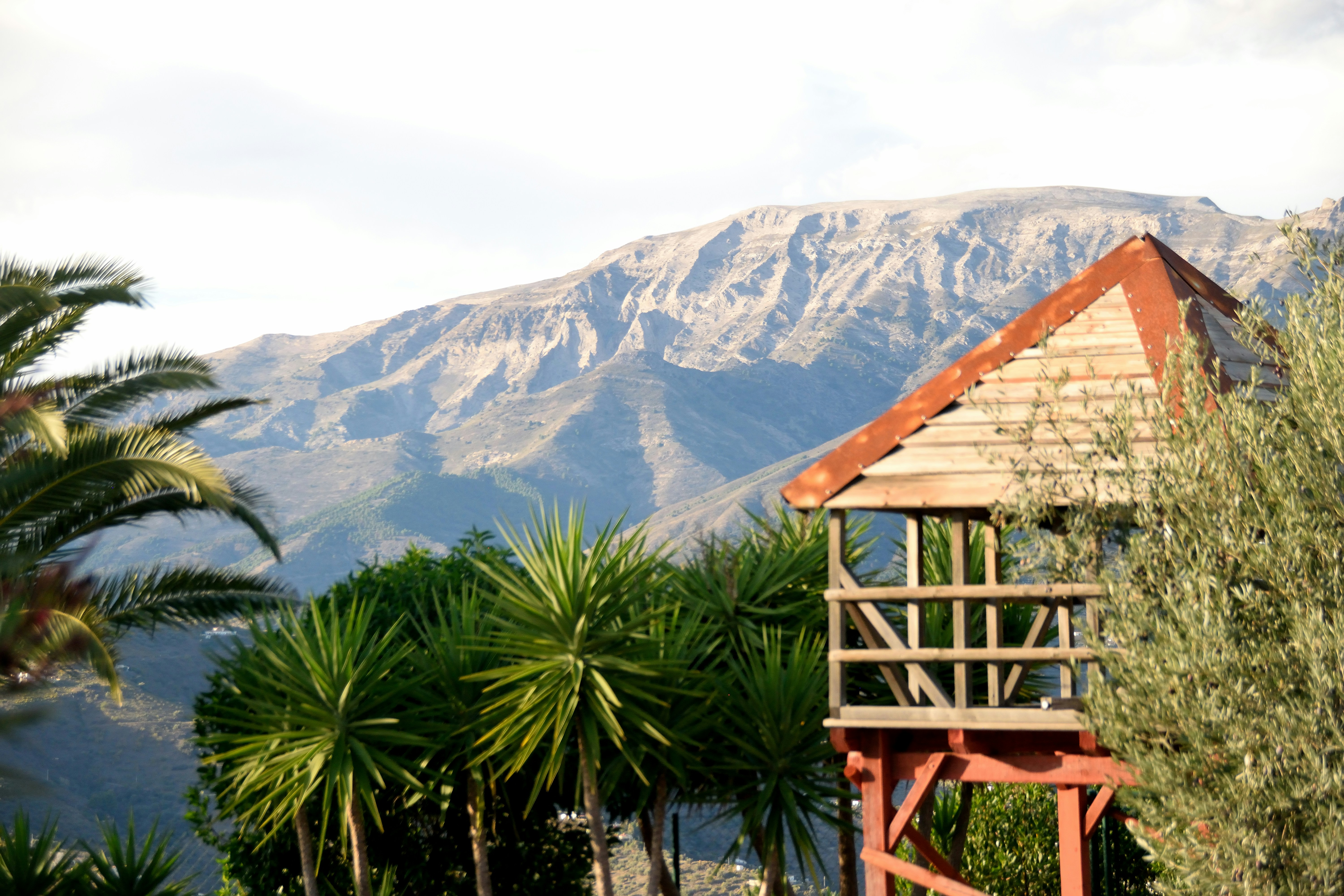 Gîte Les Acacias