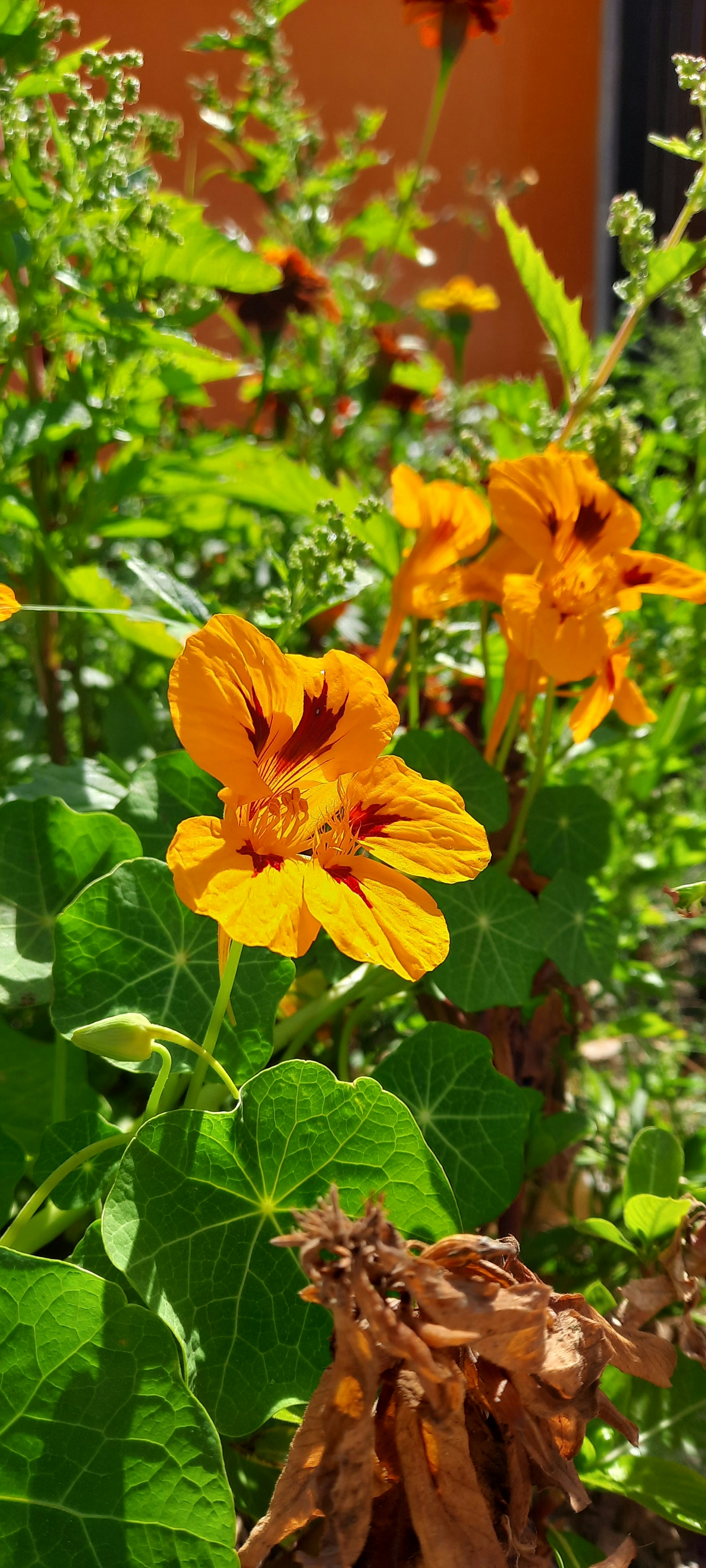 Photo by blindmoon2020