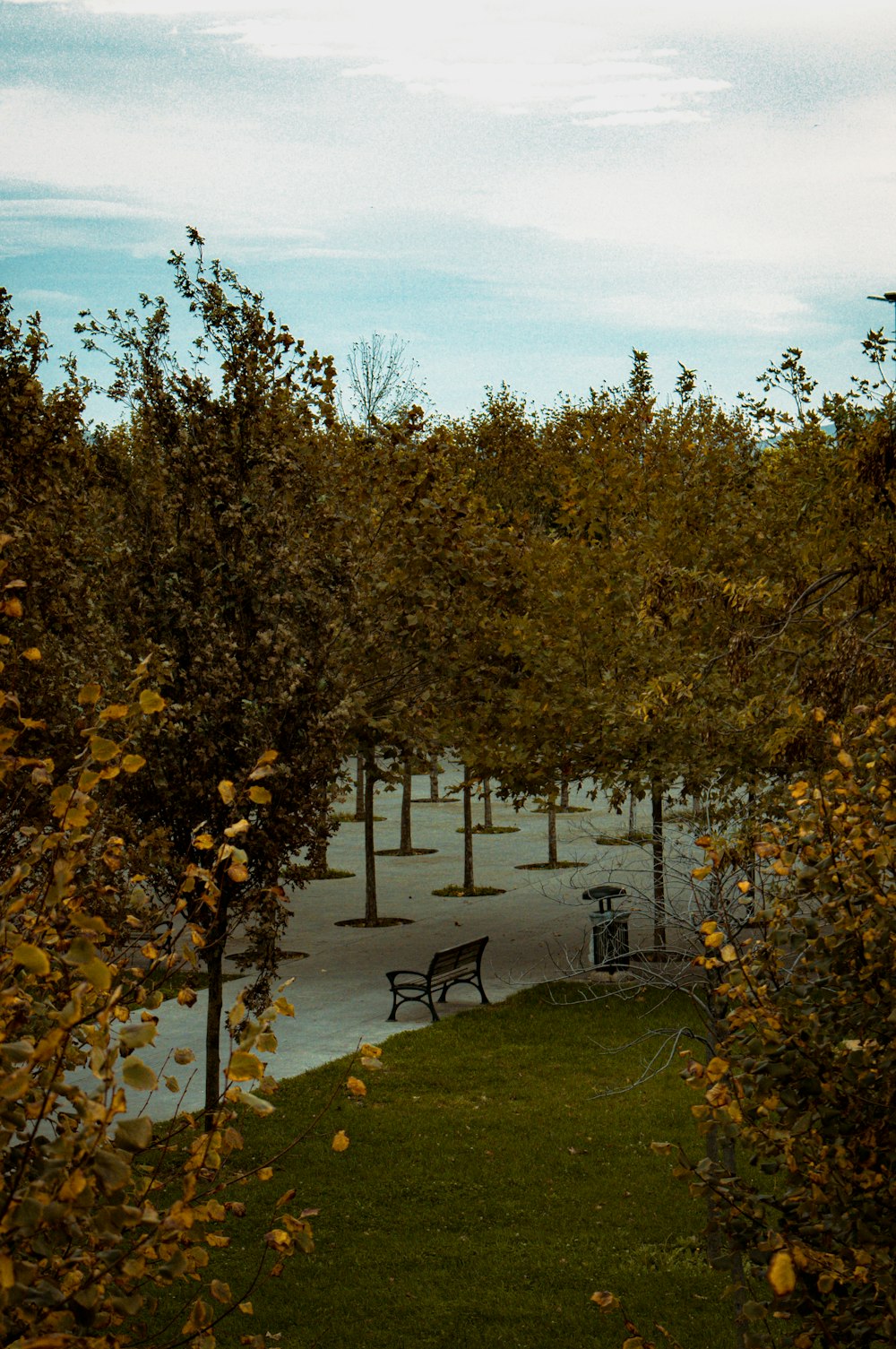 a couple of benches sitting in the middle of a park